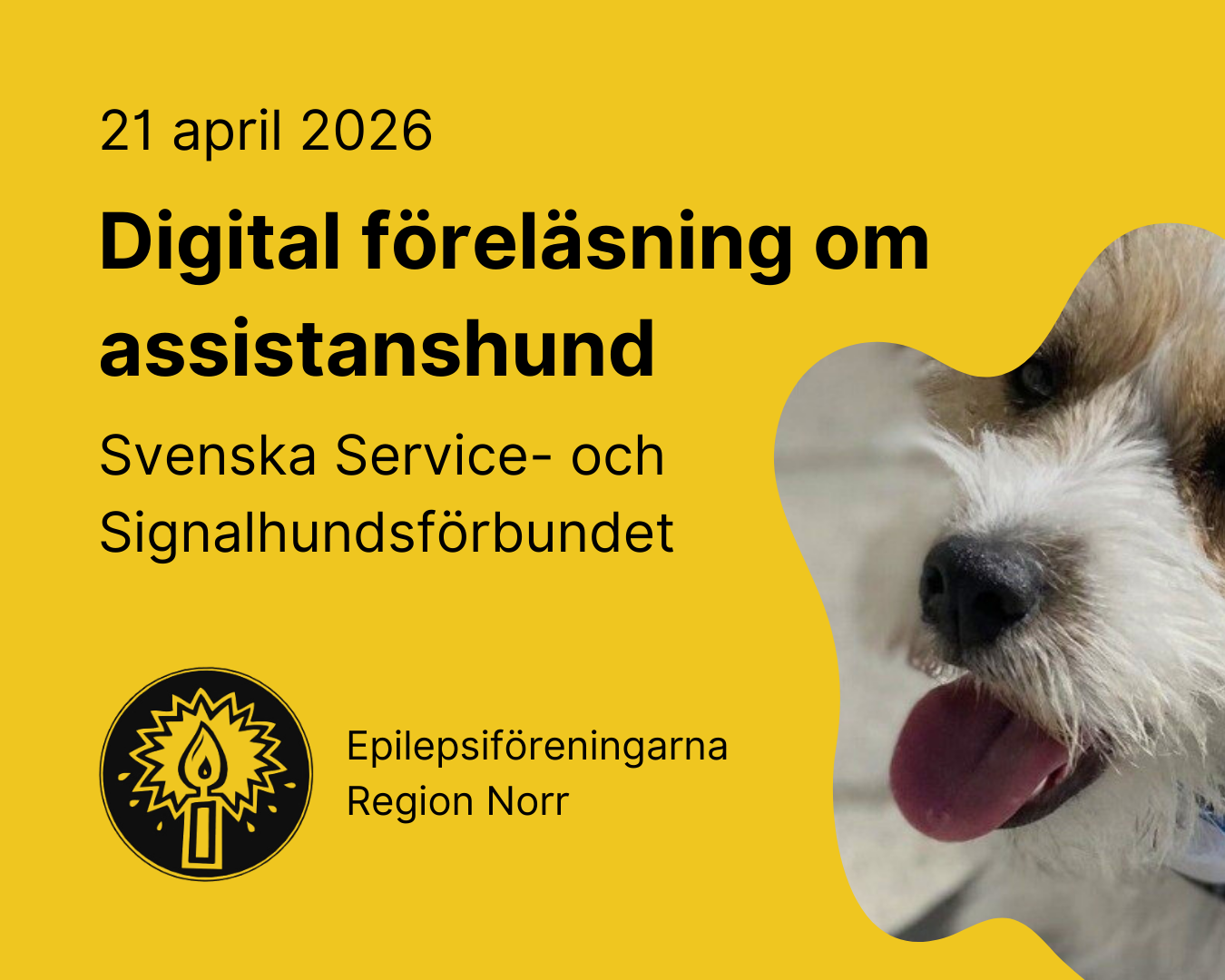 Digital föreläsning: Assistanshund - Epilepsiföreningarna Norr - 21/4 kl. 18.00-20.00