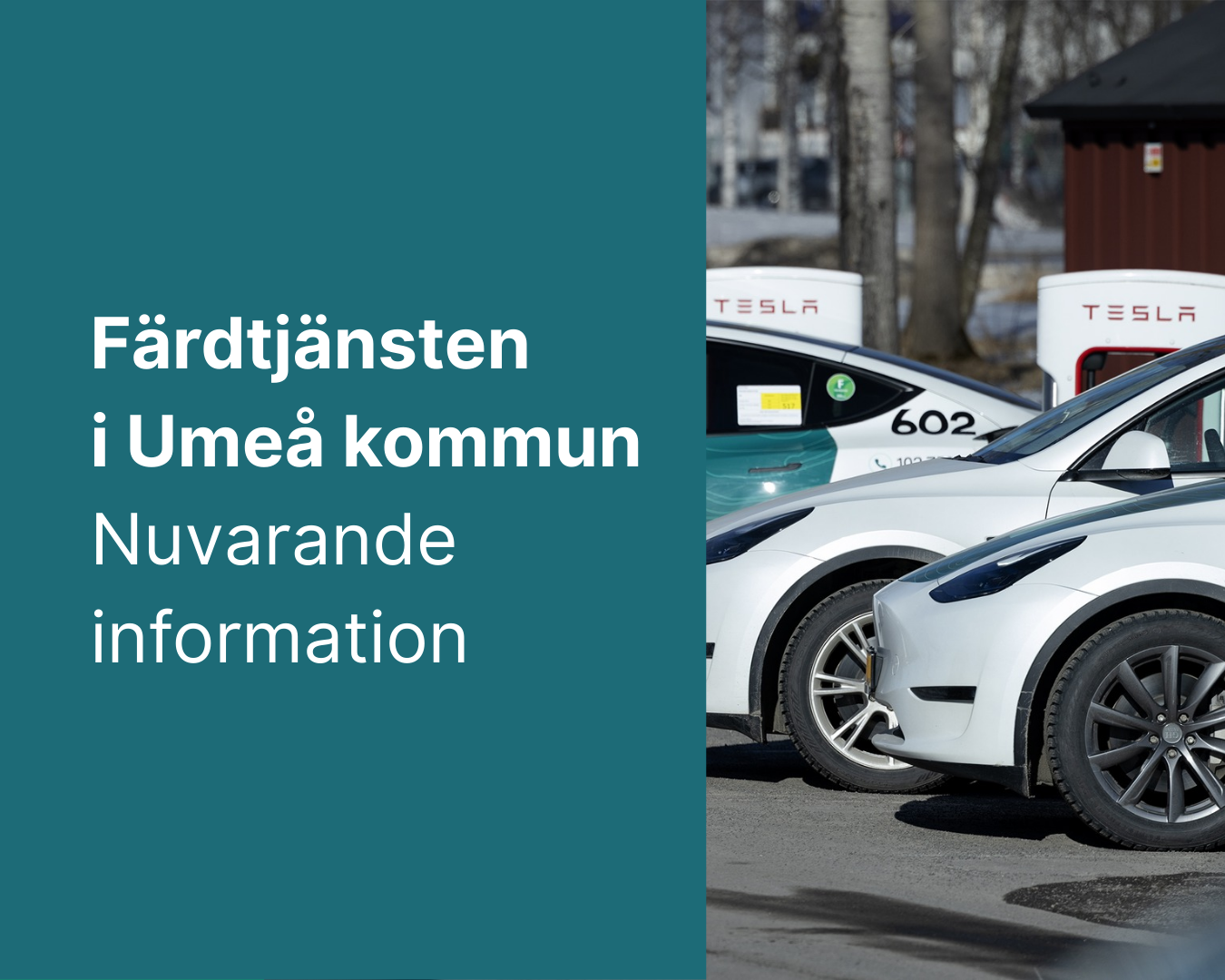 Färdtjänst i Umeå kommun - nuvarande information