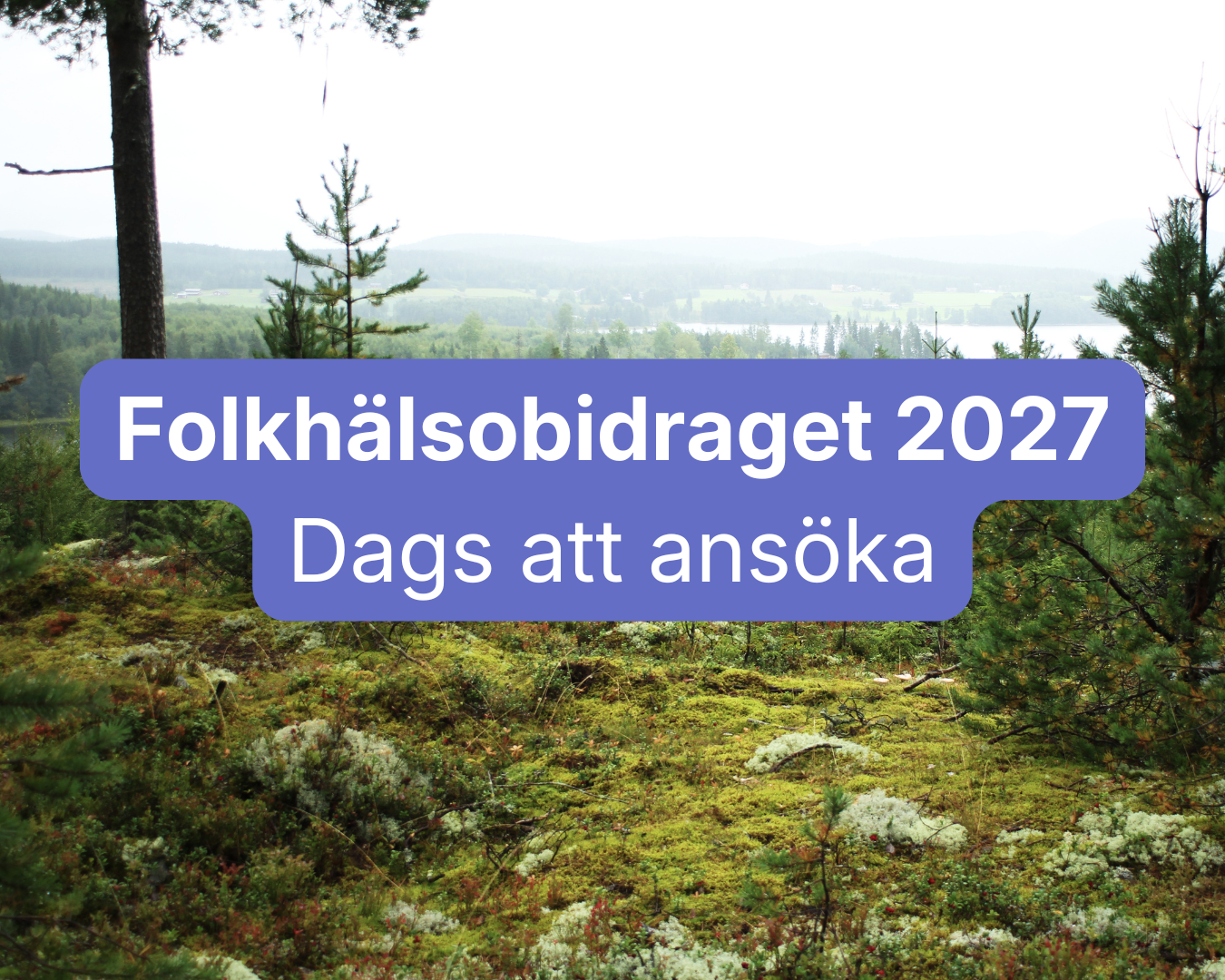 Folkhälsobidraget 2027: Dags att ansöka