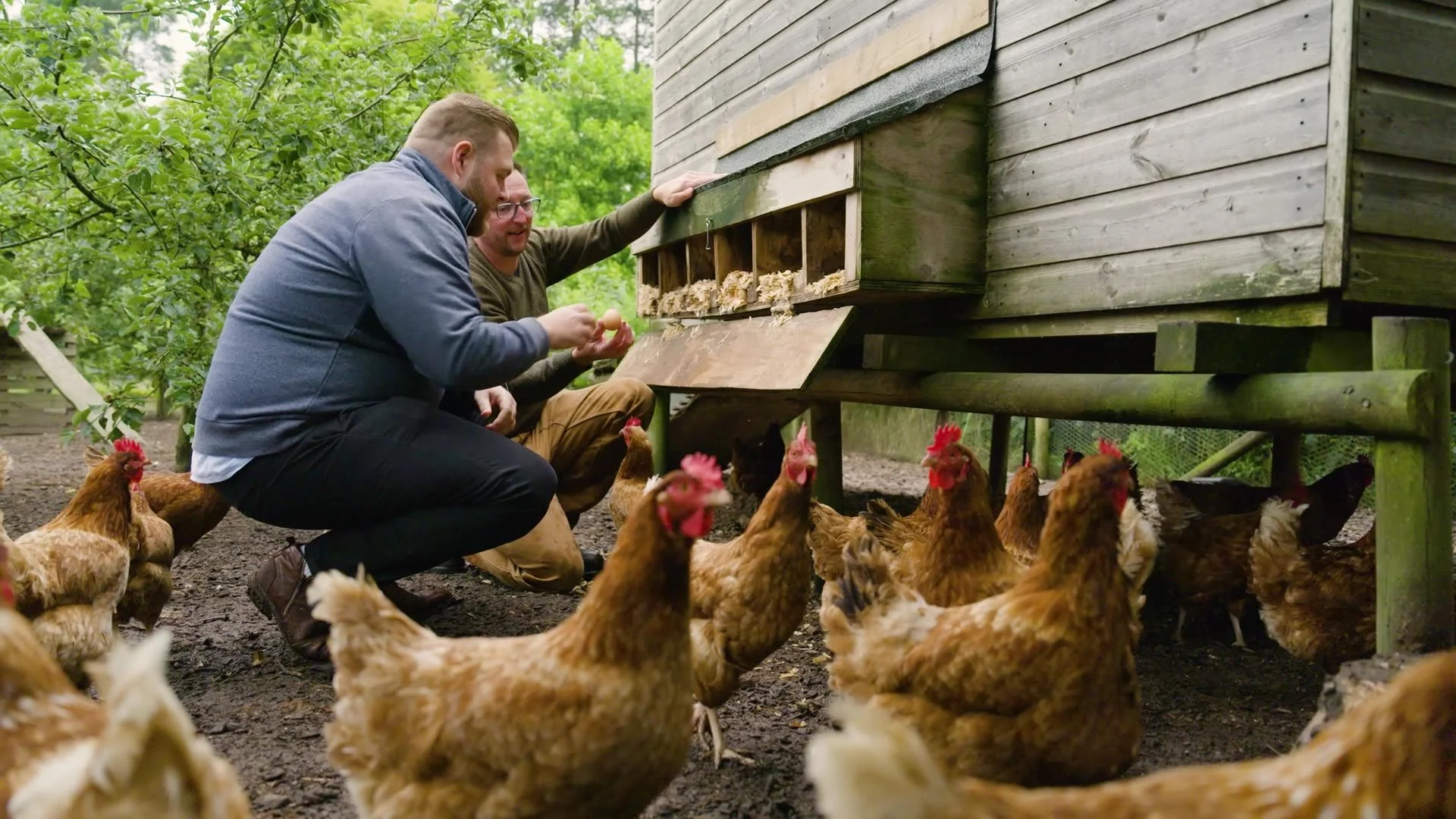 BBC StoryWorks / Sodexo