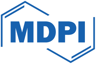 Silver Sponsor