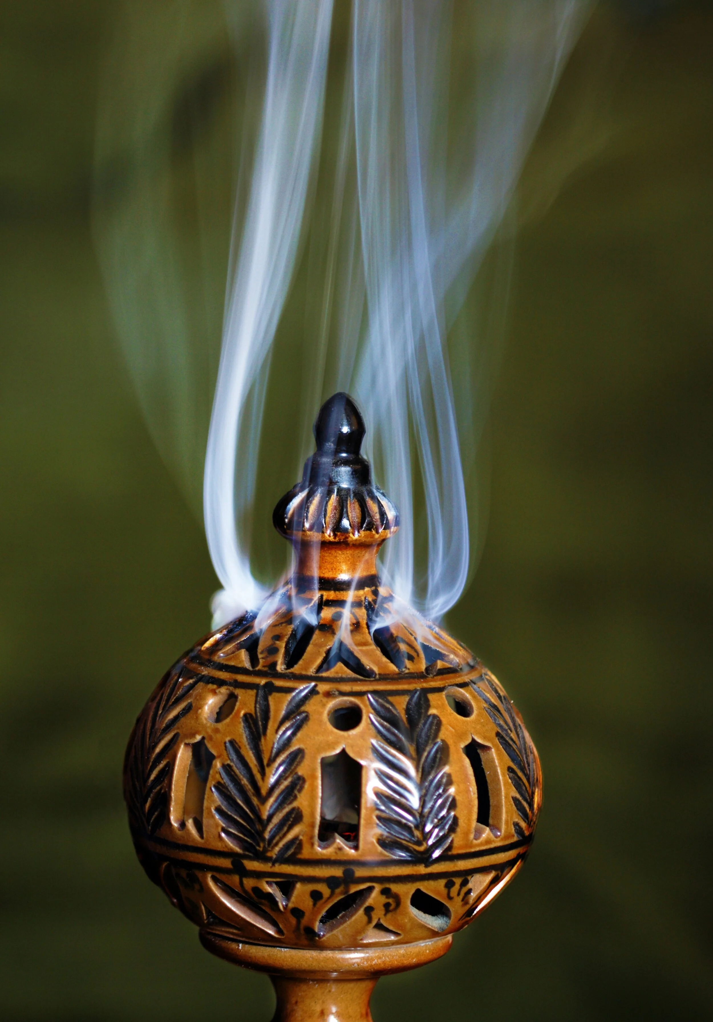 close-up-of-a-defocused-248032.jpg