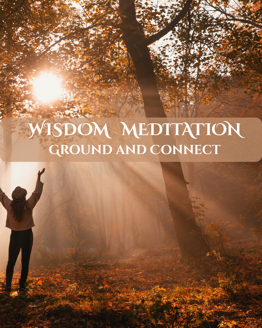 Wisdom Meditation: GROUND AND CONNECT- Sunday November 15,  2026 at 3:00pm CT via Zoom
