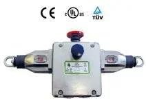 Safety Rope Switches — Ashdale Engineering Limited