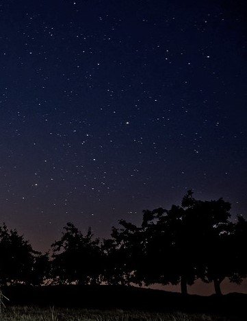Schlafen unterm Sternenzelt_Foto.jpg