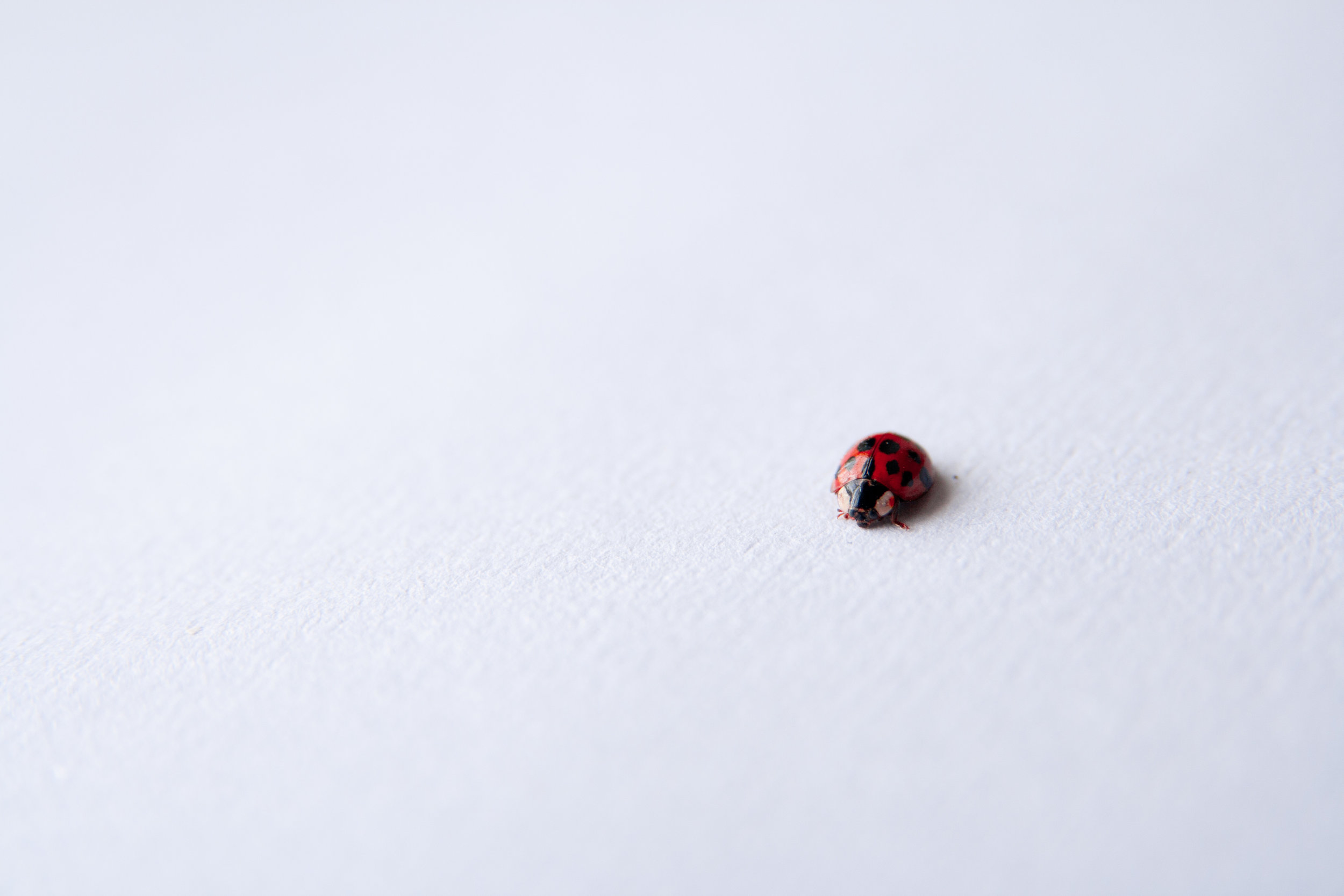 Feel Small and Out of Your Depth