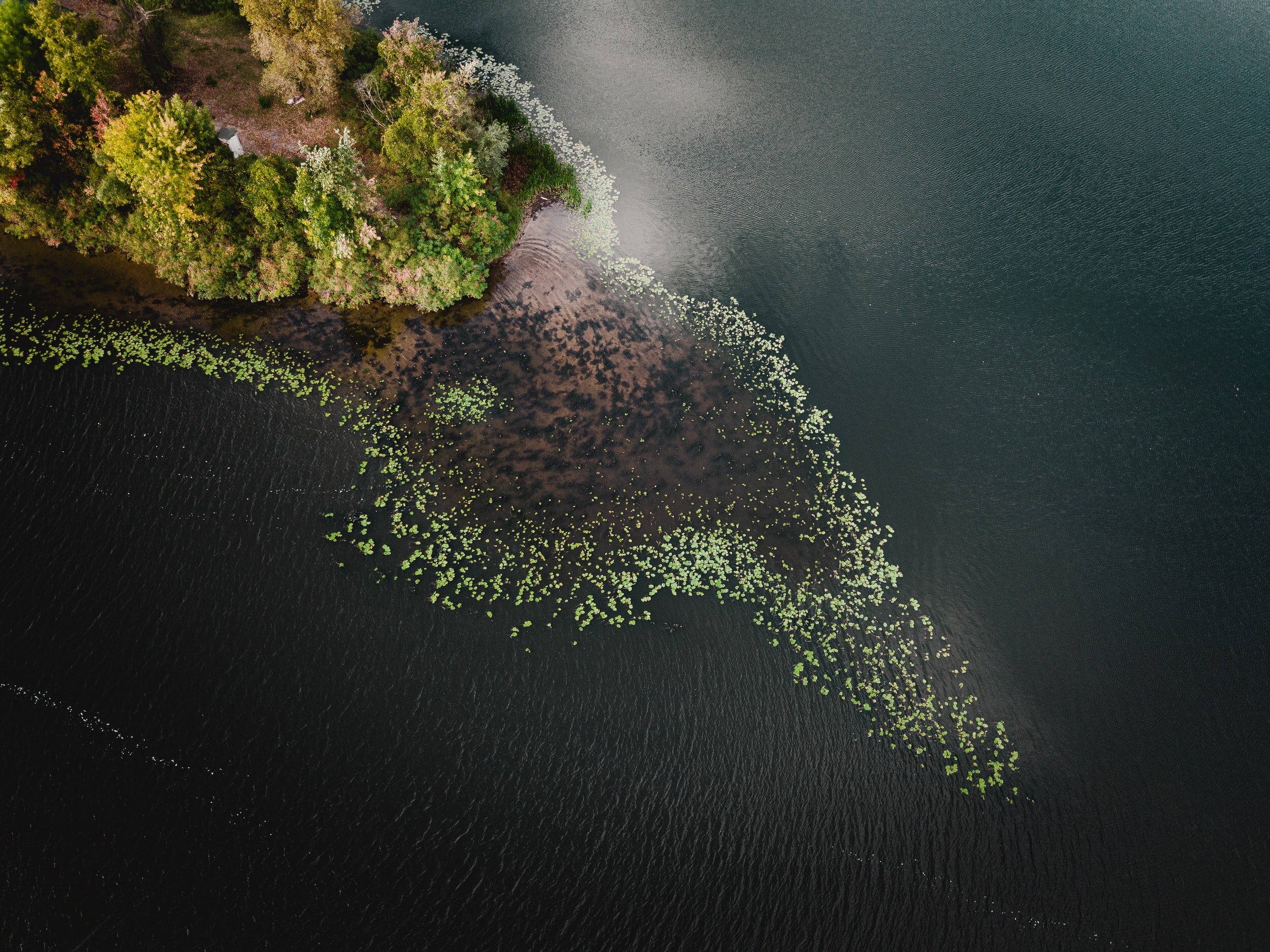 Metrics for Sustainable Ecosystems