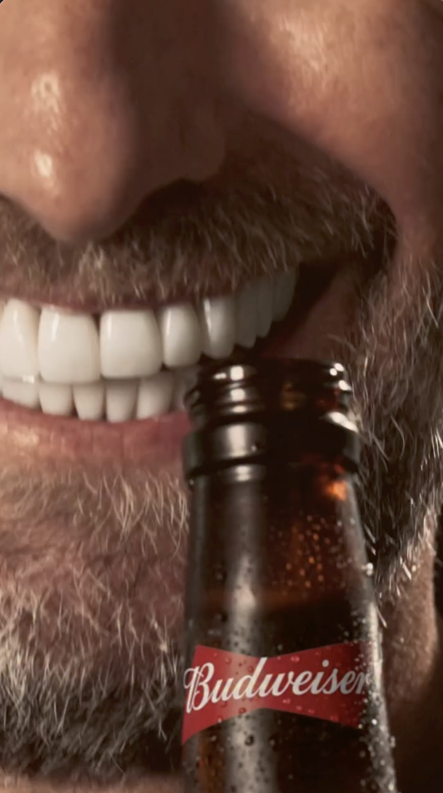 Budweiser World Cup 26