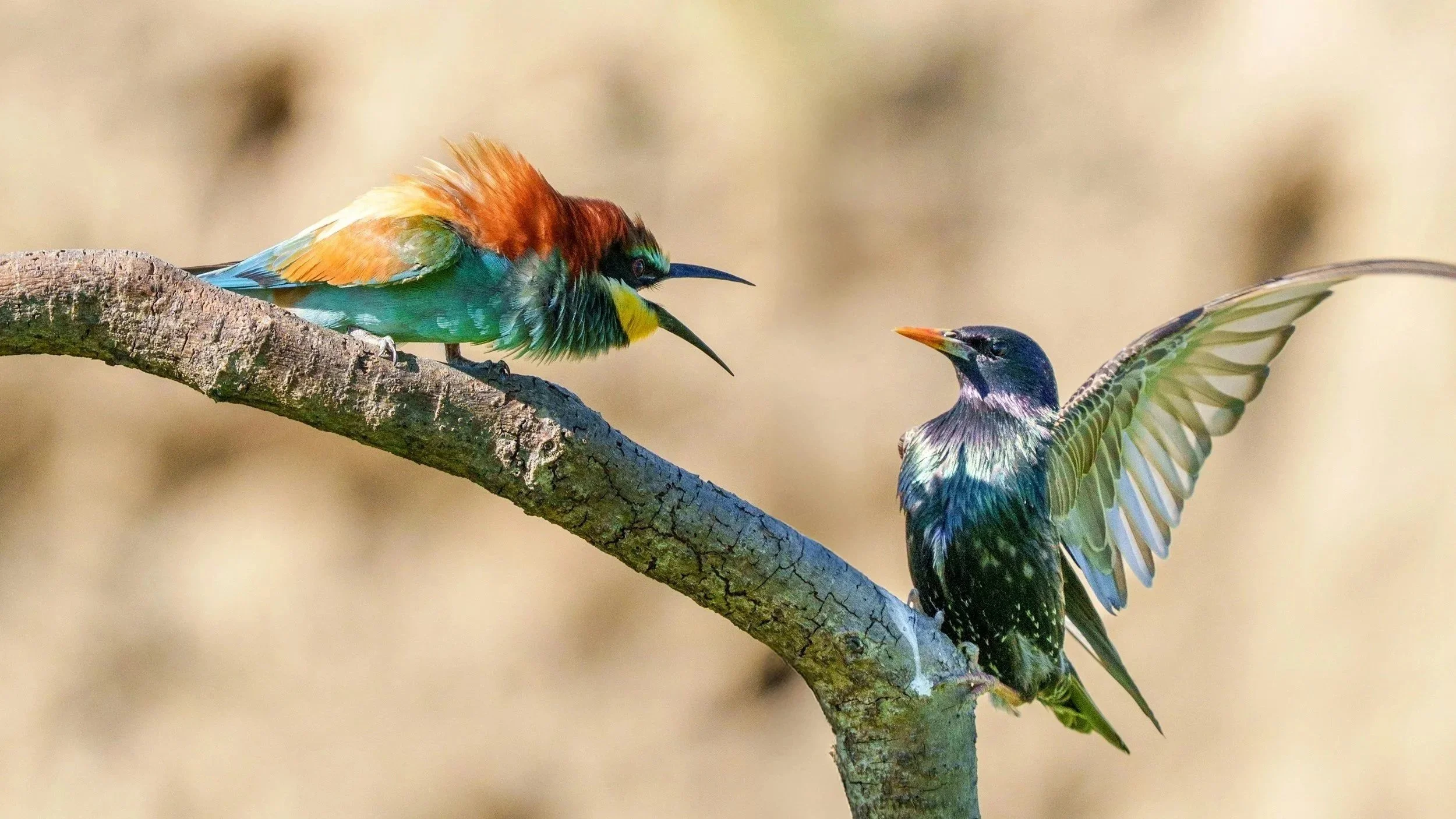 Why Creative Conflict Feels So Personal