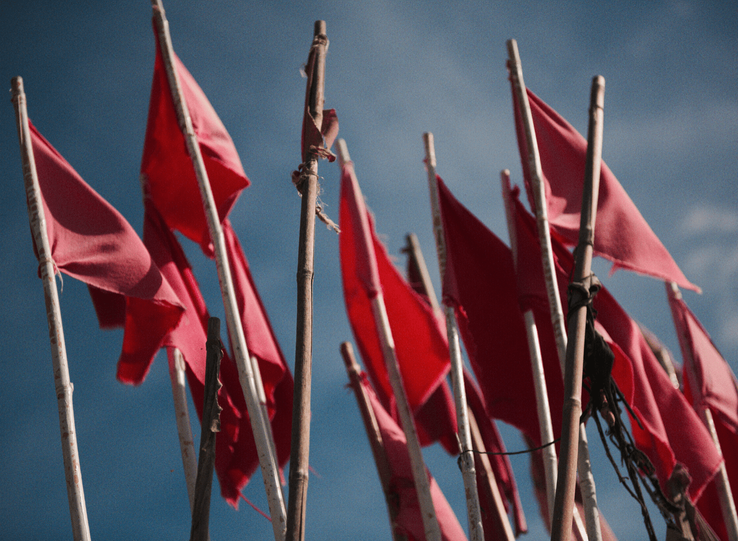 Red Flags of Poor Sales Leadership