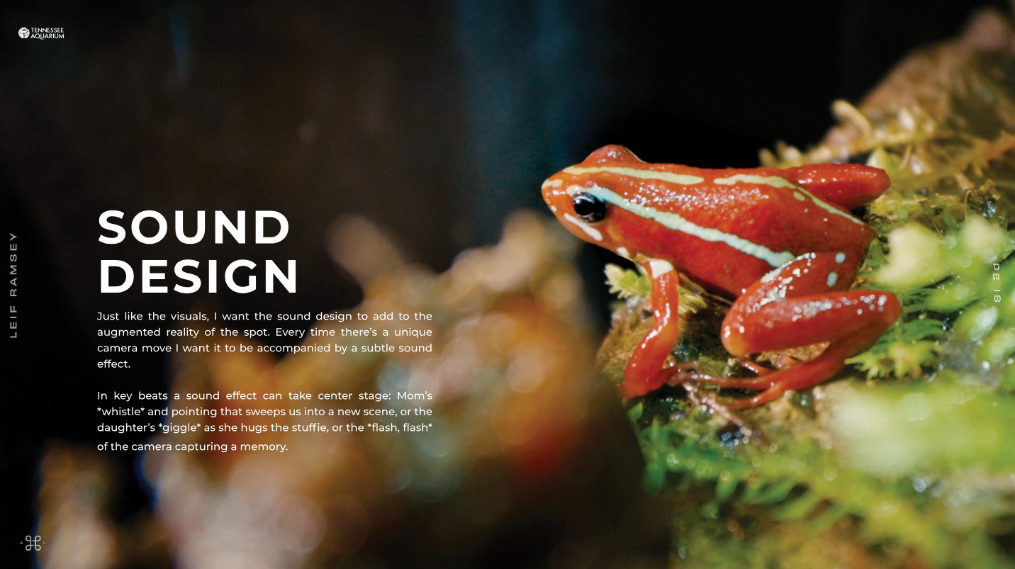 Sound Design slide for Leif Ramsey's directors treatment for the Tennessee Aquarium's 2025 TV spots.