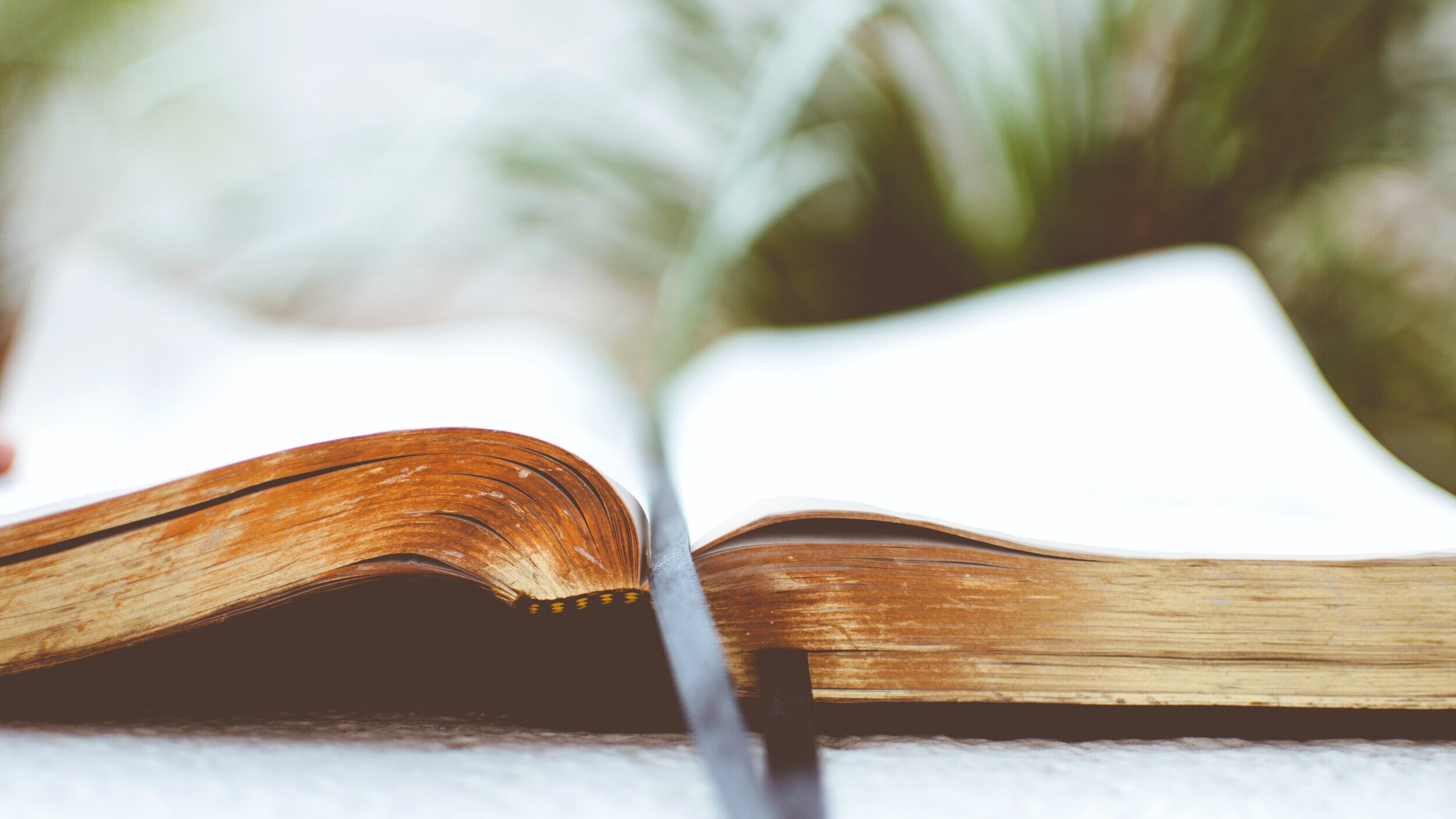 New Scripture Podcast available on Tuesdays