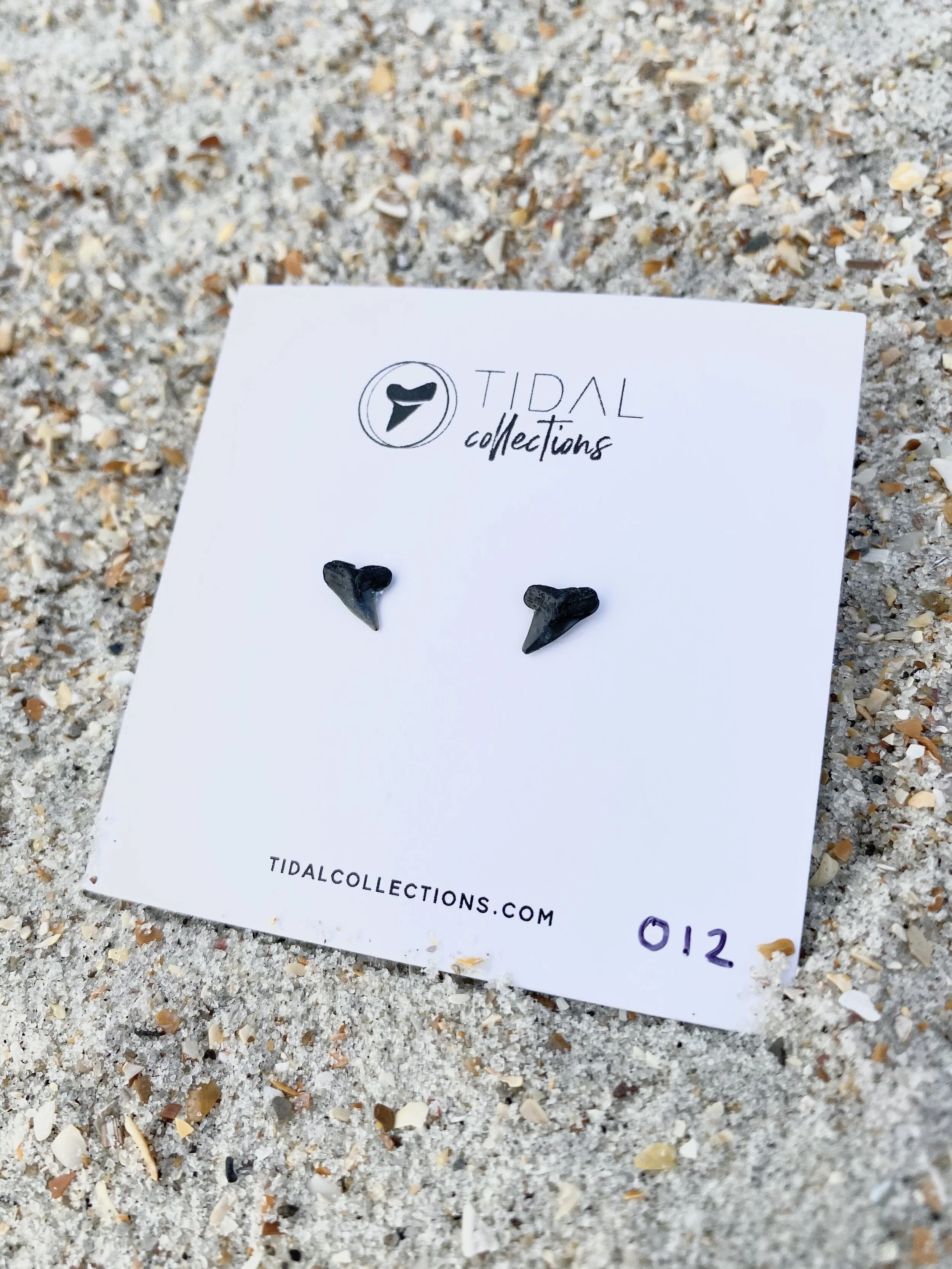 Shark Tooth Earrings #012