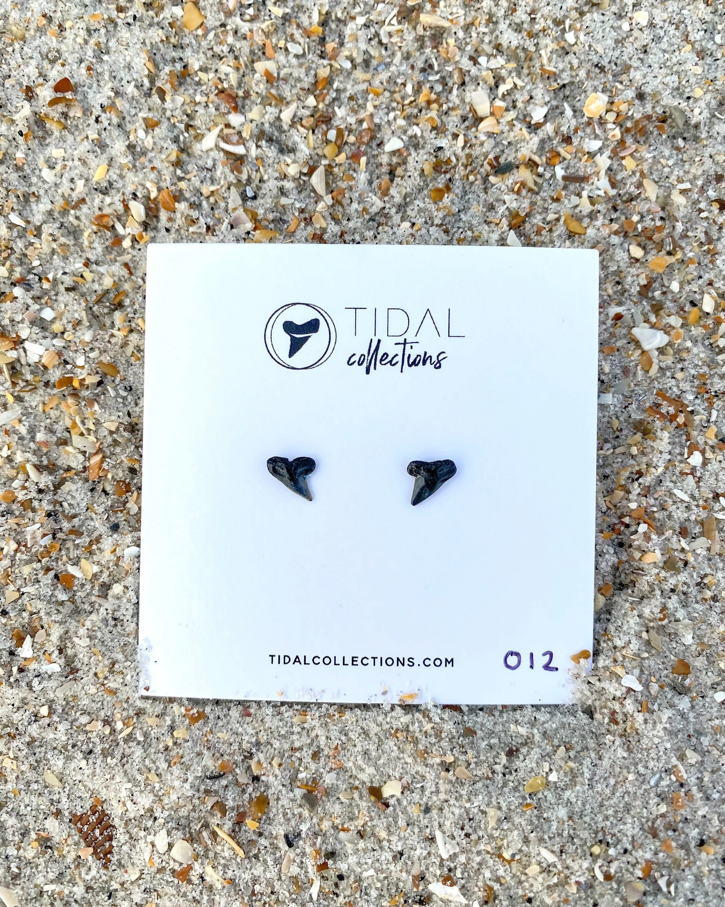 Shark Tooth Earrings #012