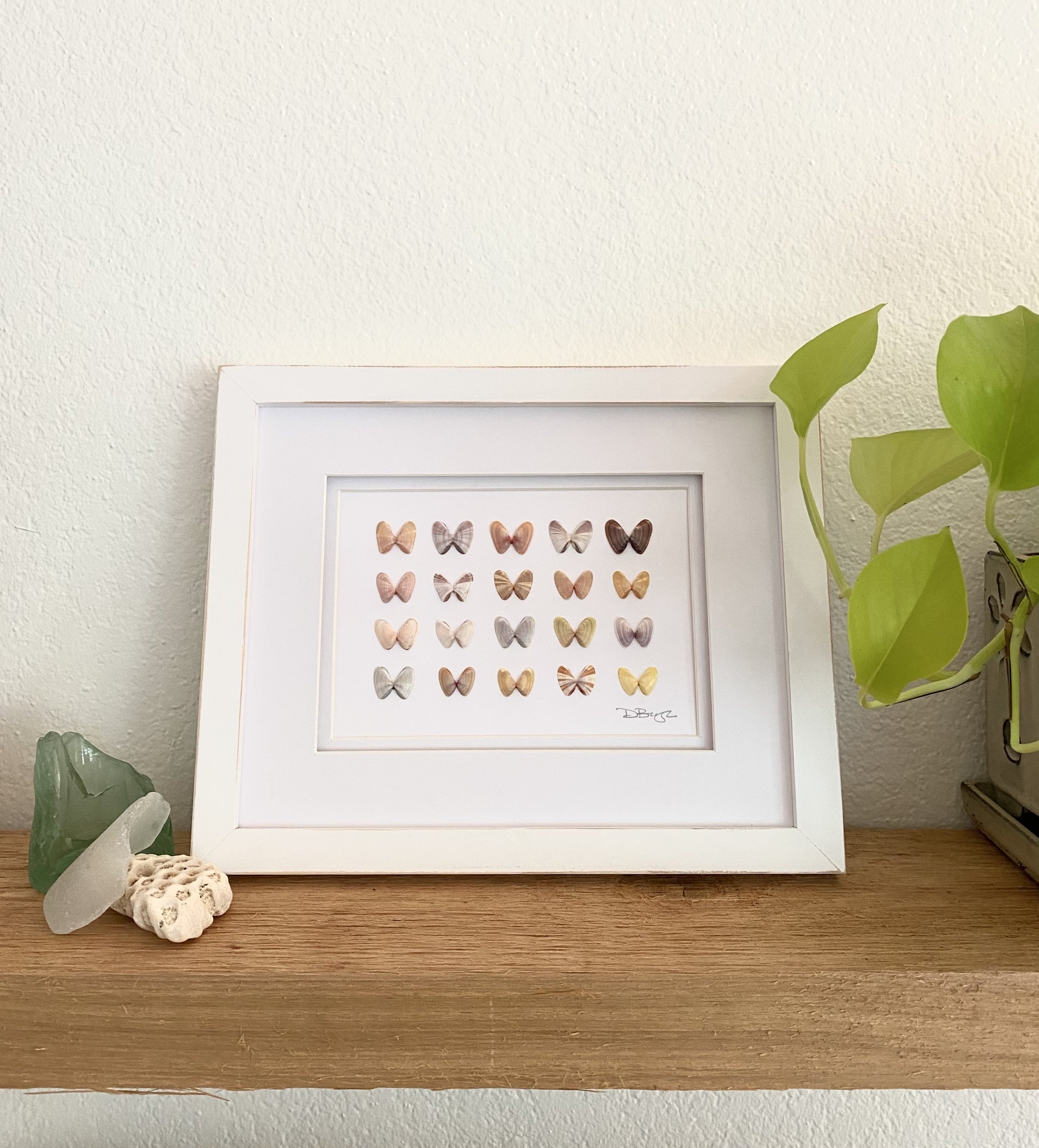Sanibel-Butterflies-4.jpeg