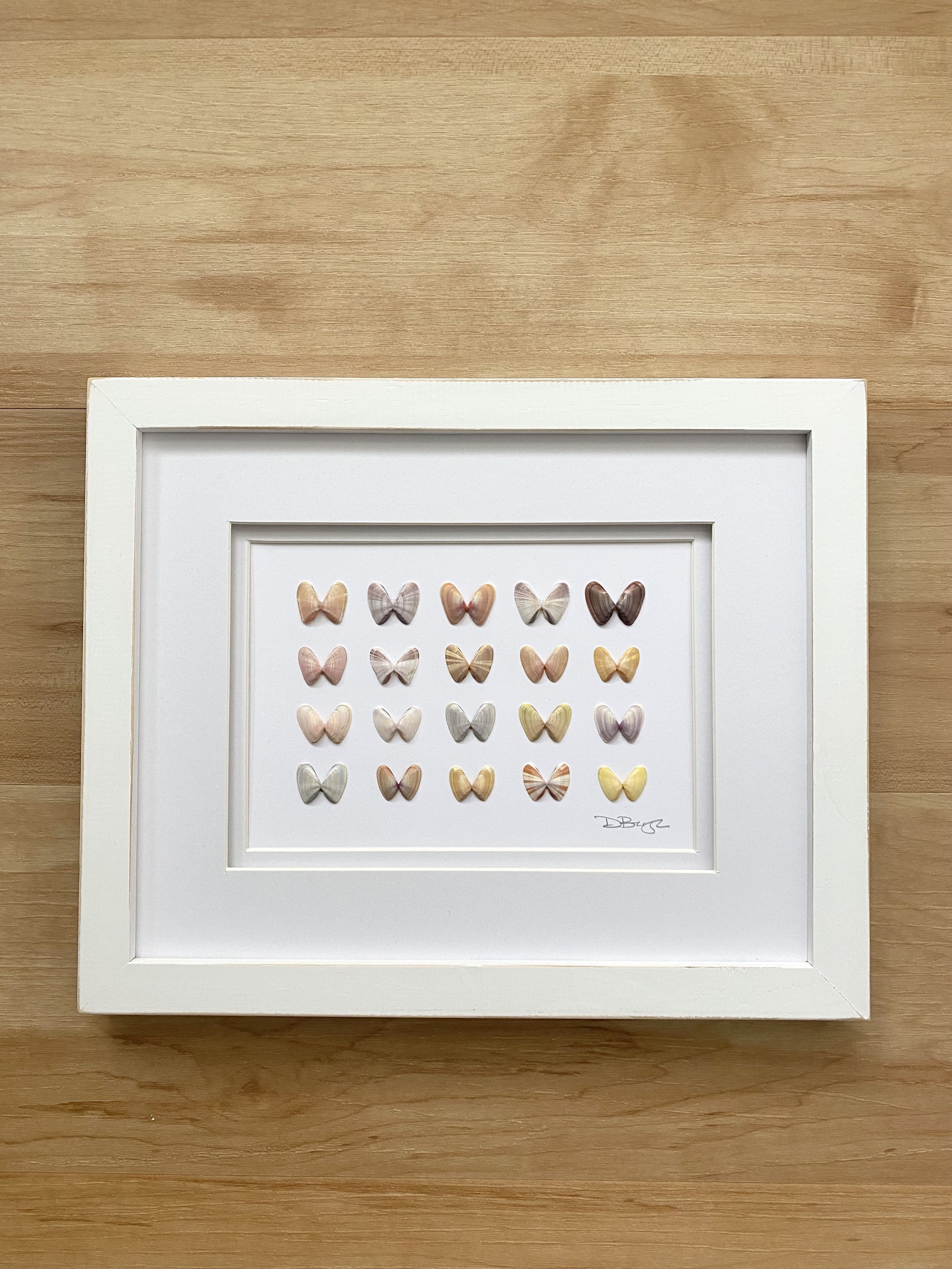 Sanibel-Butterflies-5.jpeg