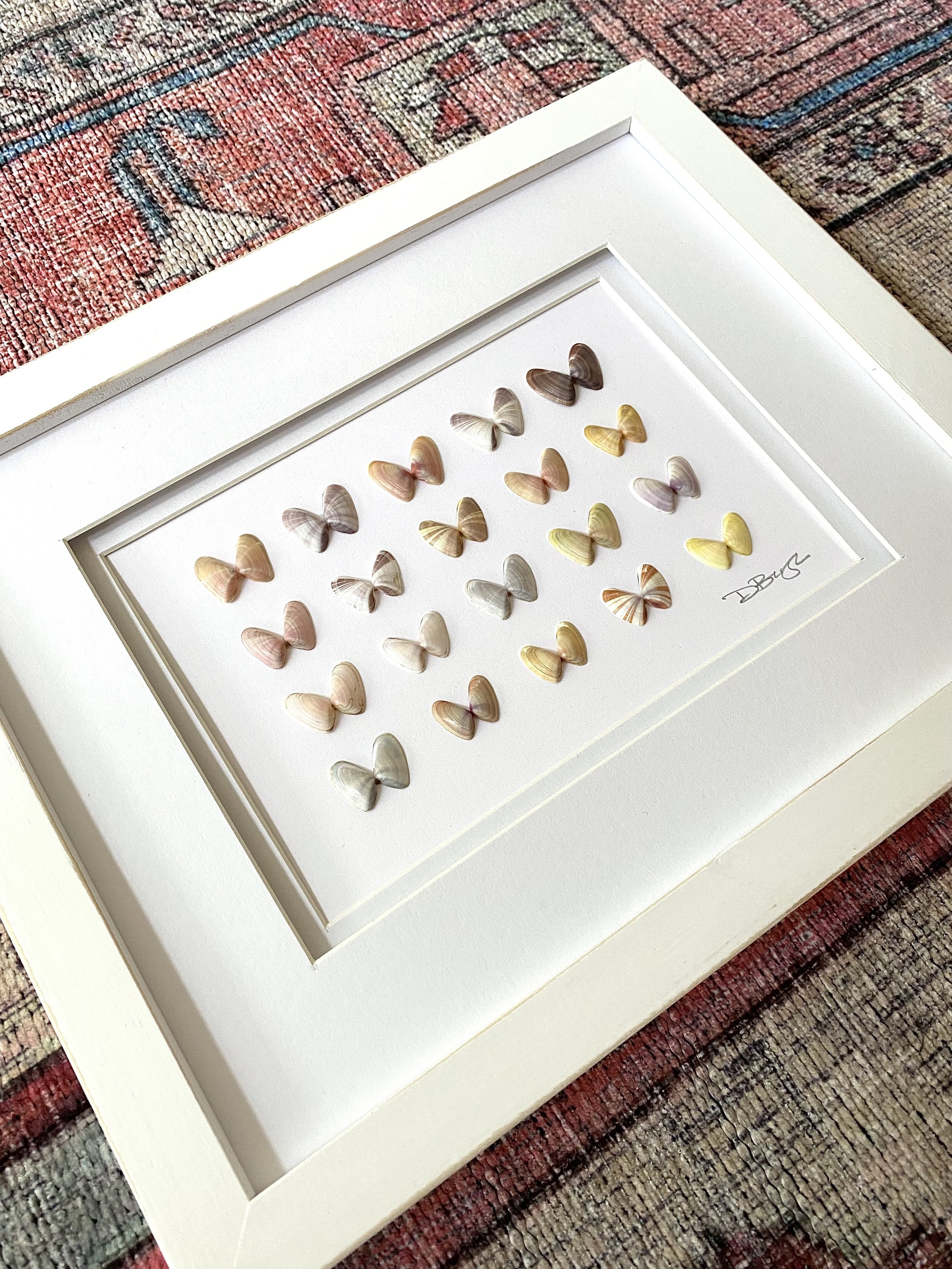 Sanibel-Butterflies-3.jpeg