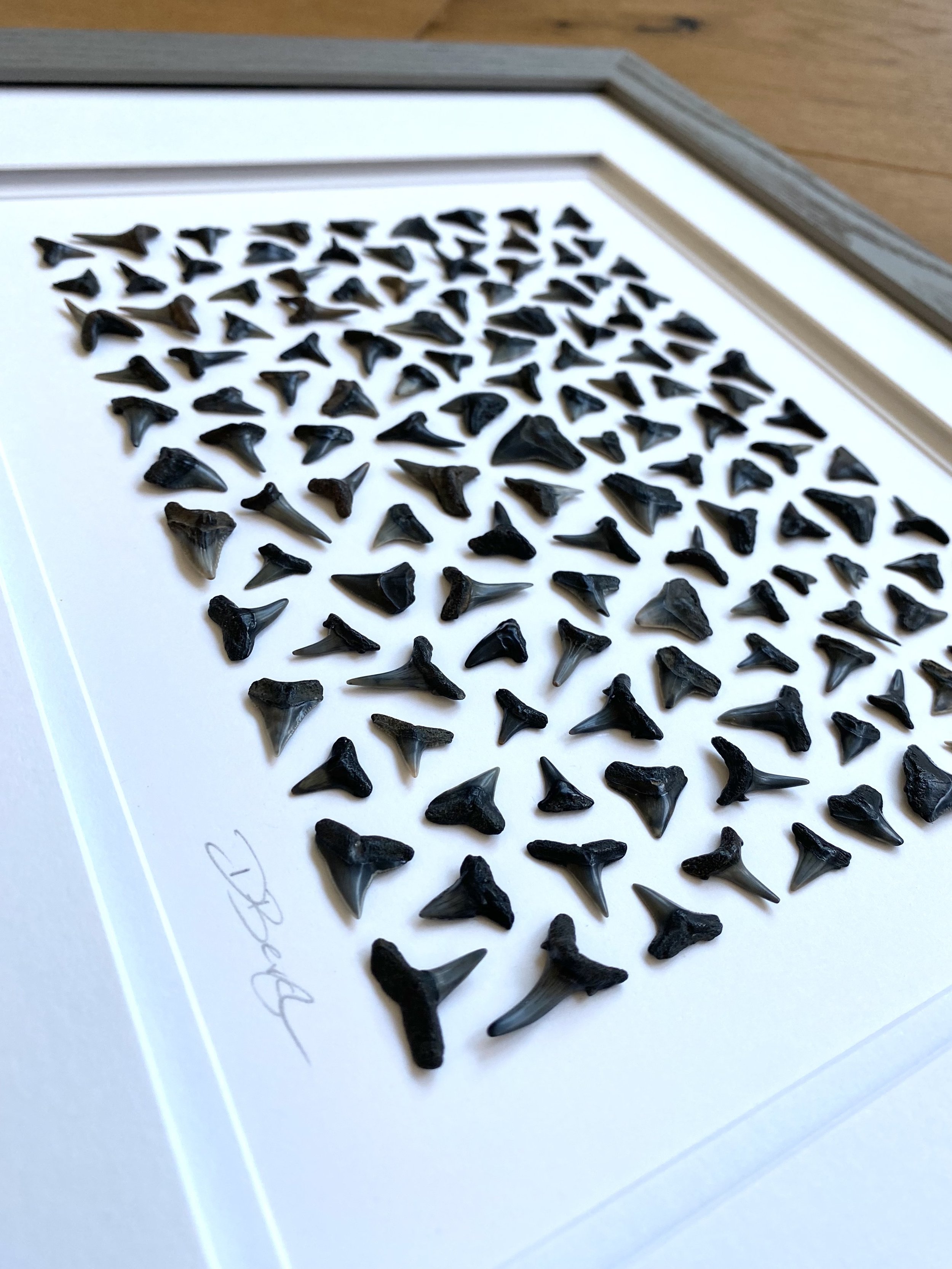 Ponte-Vedra-Puzzle-1.jpeg