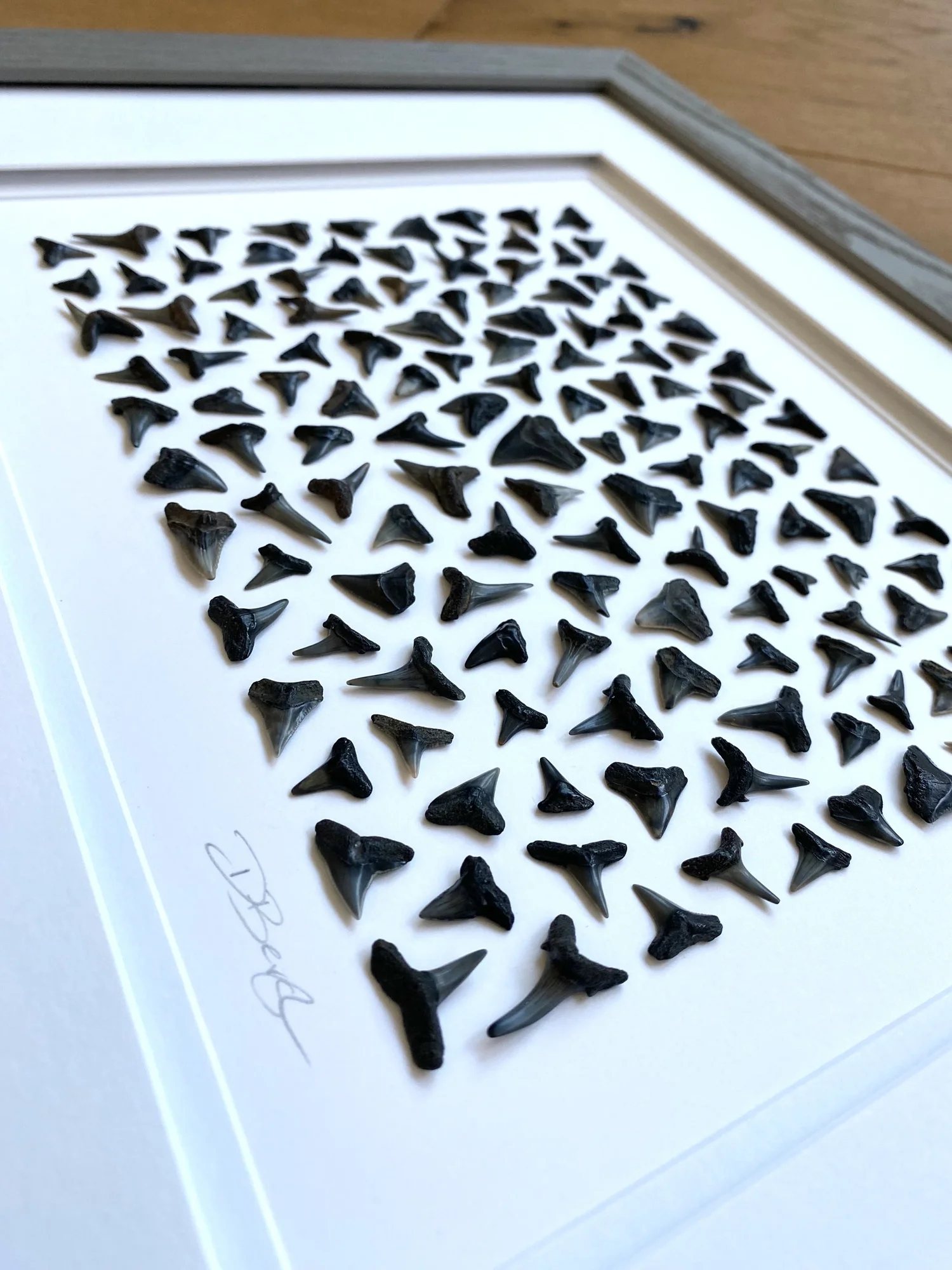 Ponte Vedra Puzzle — Tidal Collections