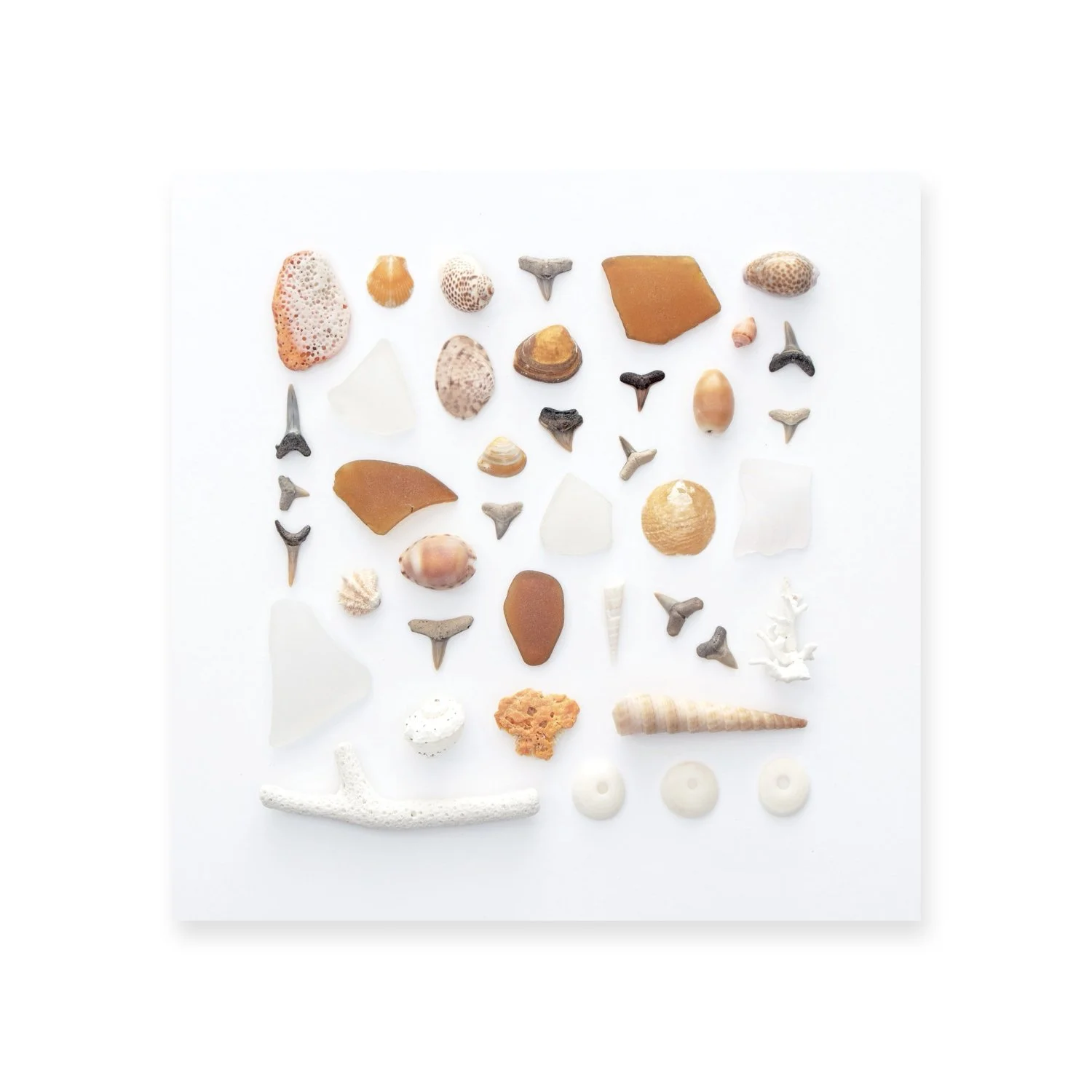 Amber Waves - Print