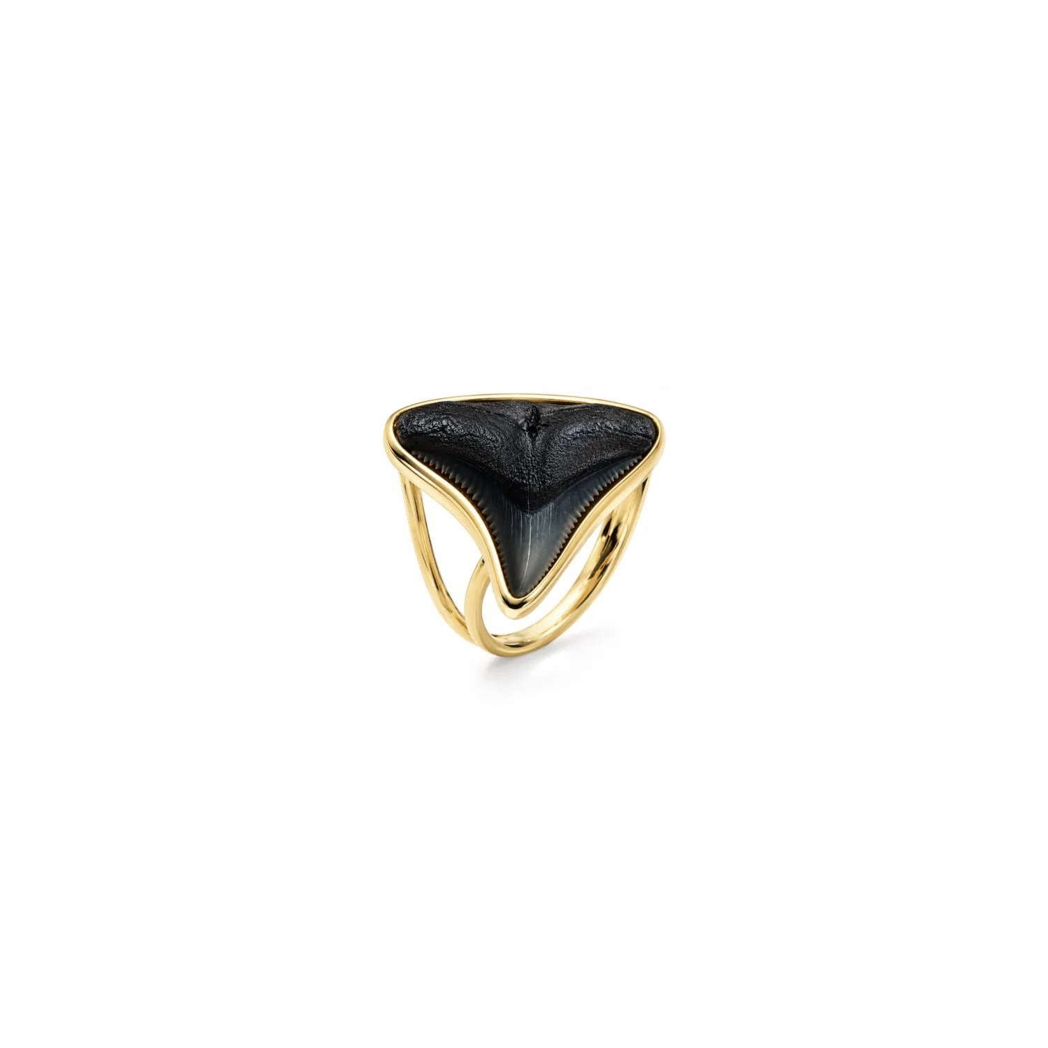 Shark Tooth 14k Gold Ring (Custom by Order)