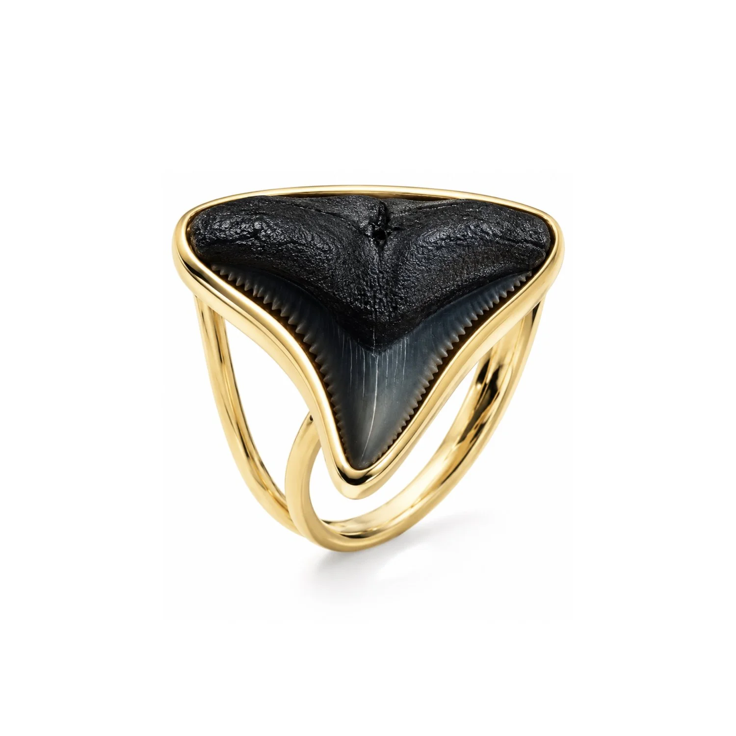 DRxTC-WhiteBackground-Ring-2.jpeg