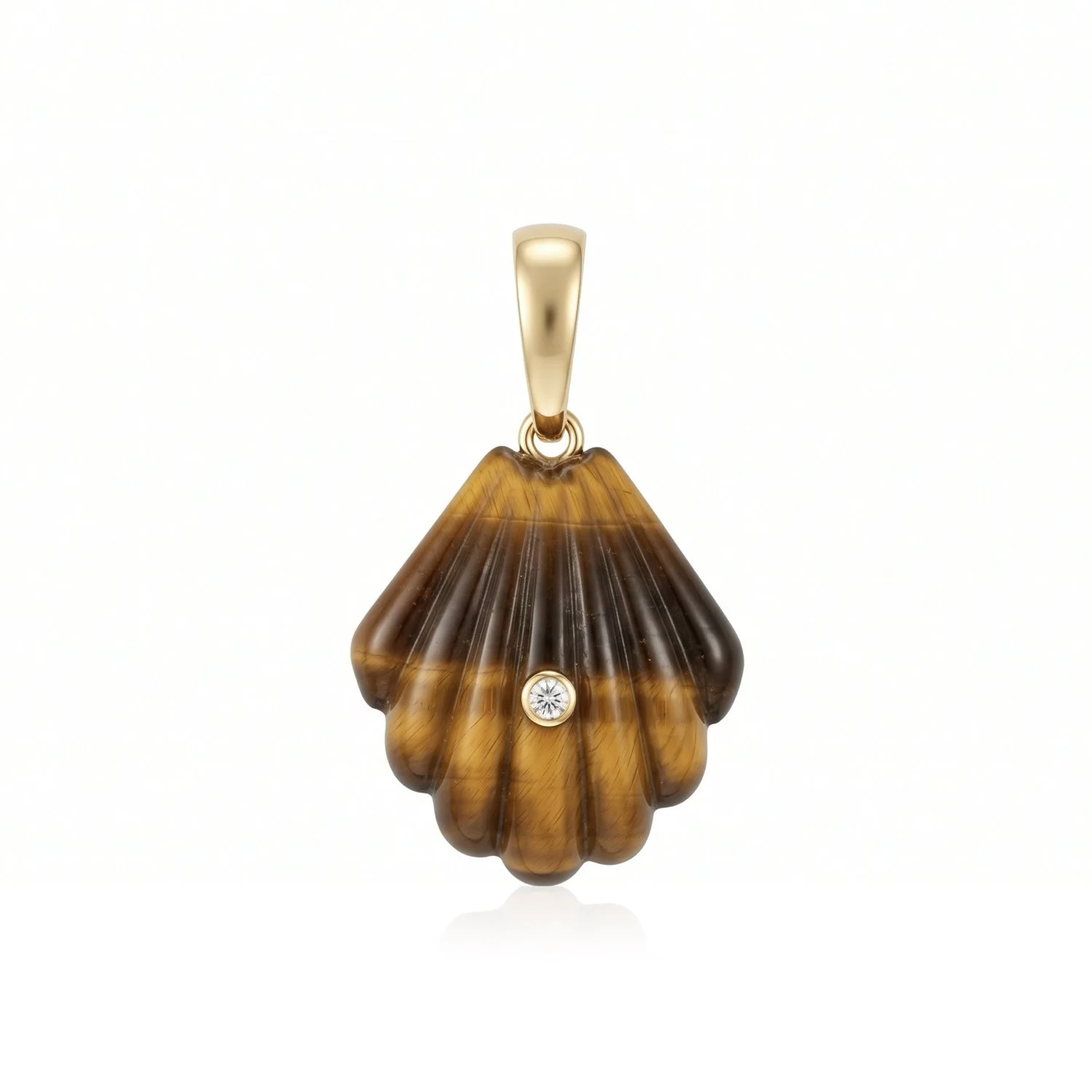 DRxTC-WhiteBackground-TigerEyeShell-2.jpeg