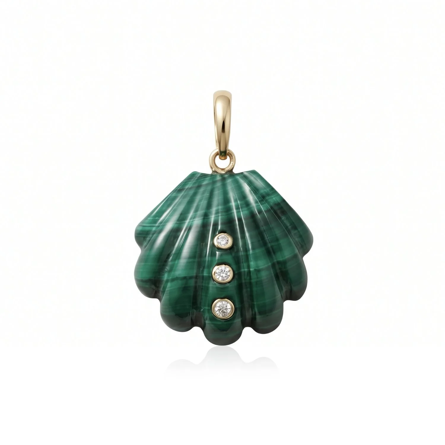 DRxTC-WhiteBackground-GreenShell-2.jpeg (Copy)