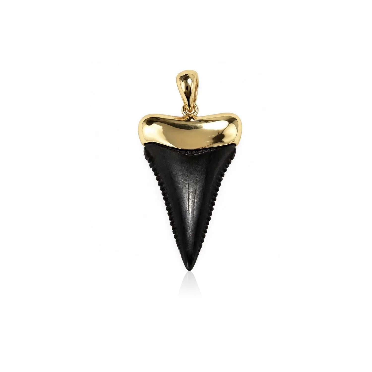 Great White Tooth 14k Gold Capped Pendant
