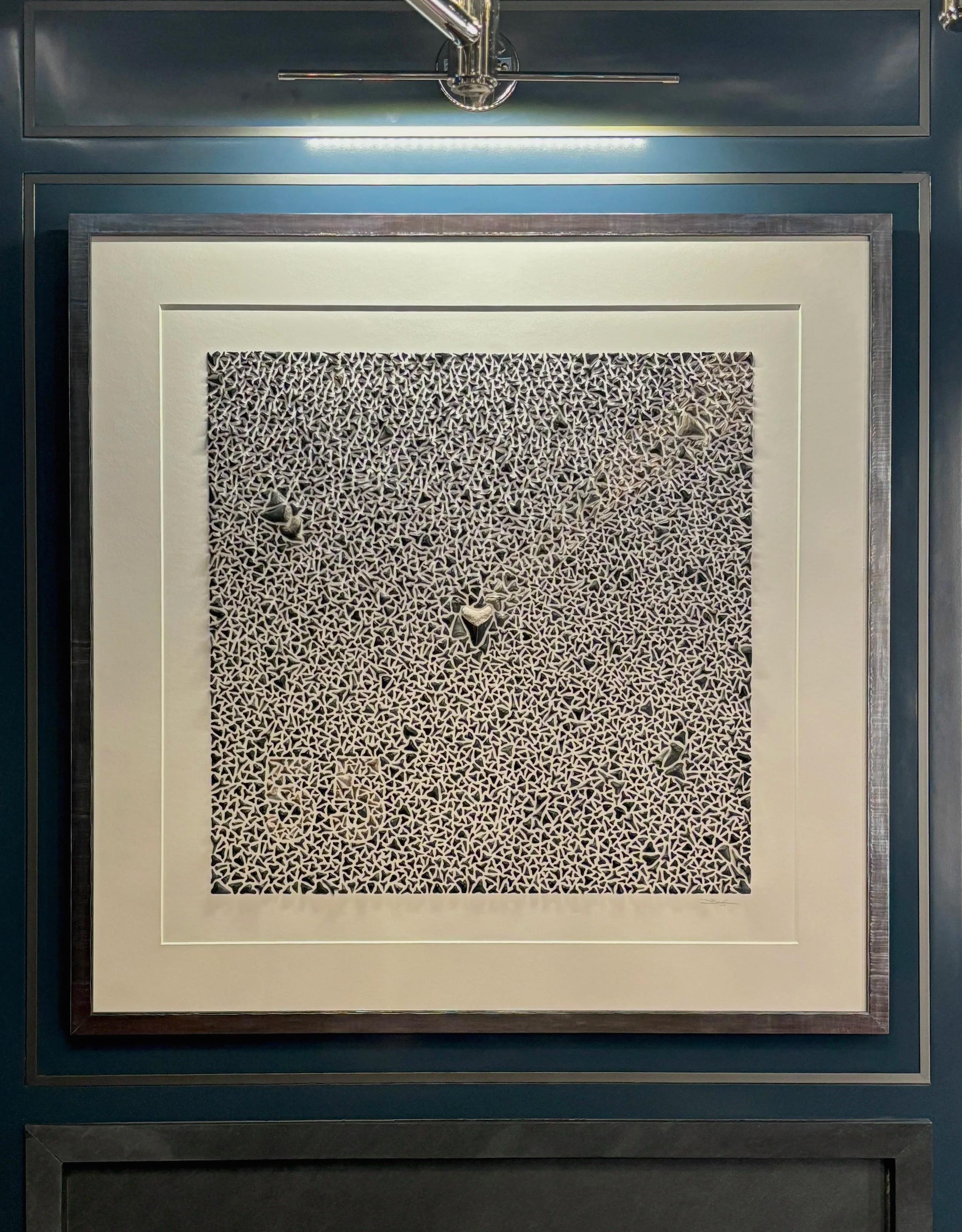 Custom Real Shark Tooth Artwork