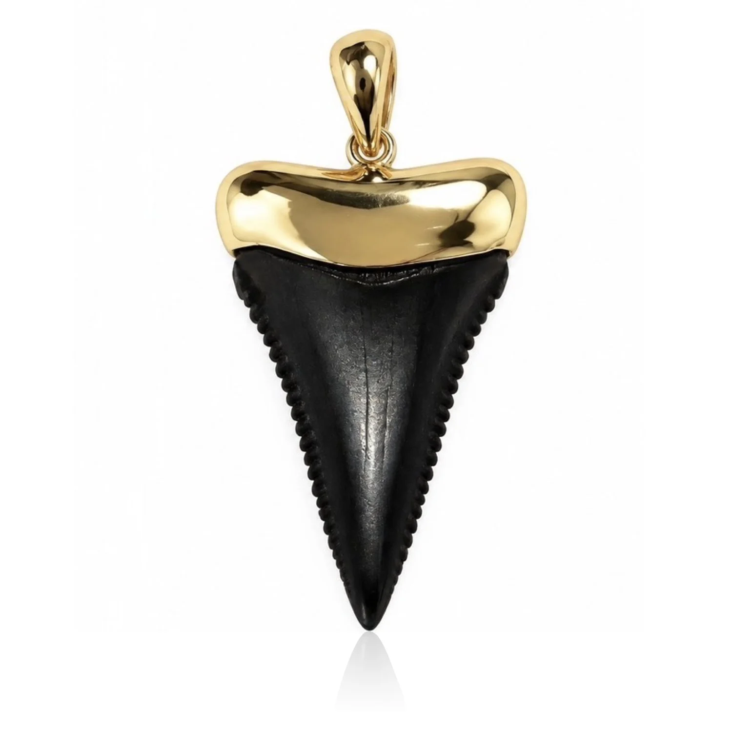 DRxTC-WhiteBackground-CappedGW-Front-2.jpeg