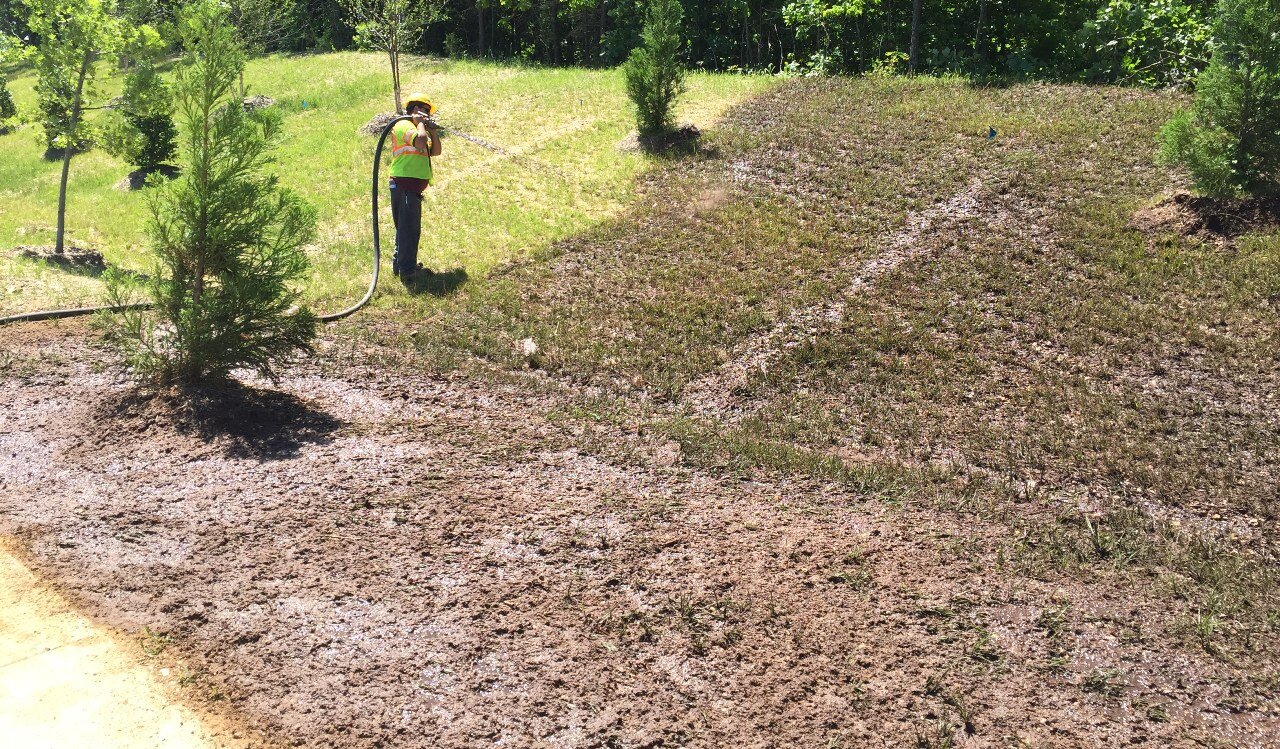 Publix in Fredericksburg VA Case Study Cosner Corner Publix ECS