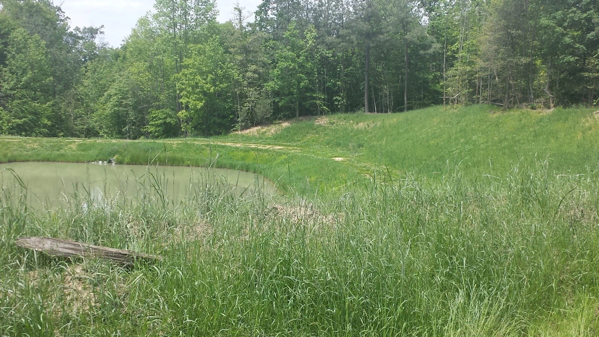 The Benefits of Using Cover Crop Seeds on Challenging Jobsites