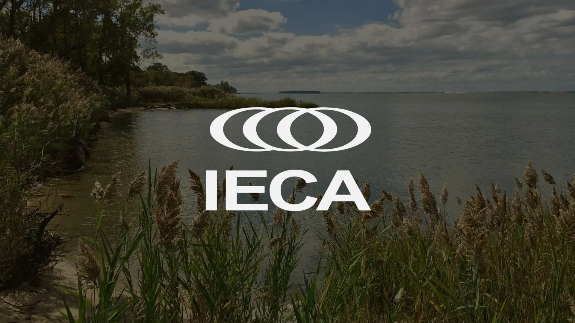 A recap of the 2026 IECA Annual Conference &amp; Expo