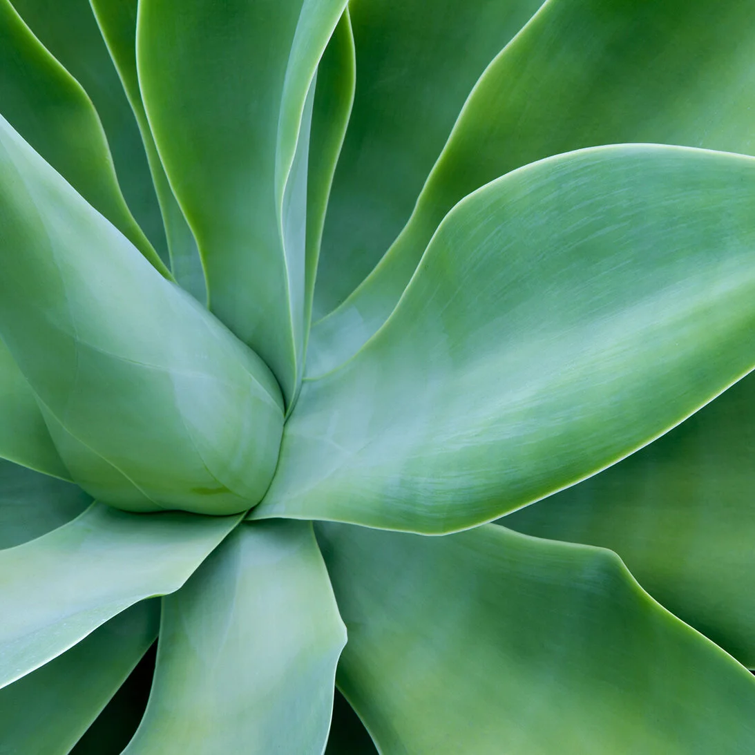 Acupuncture Healing Center NEW