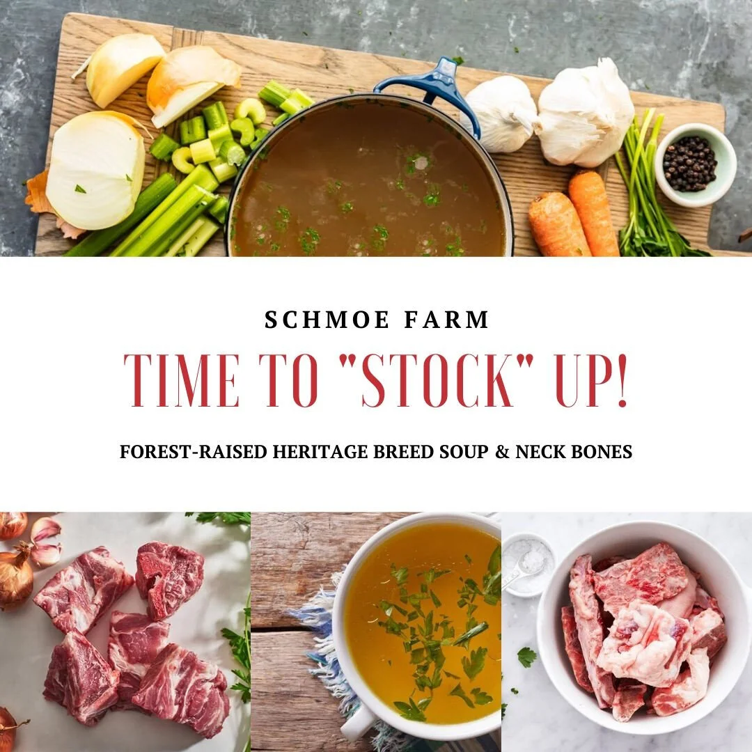 Pork Bone Broth — Schmoe Farm