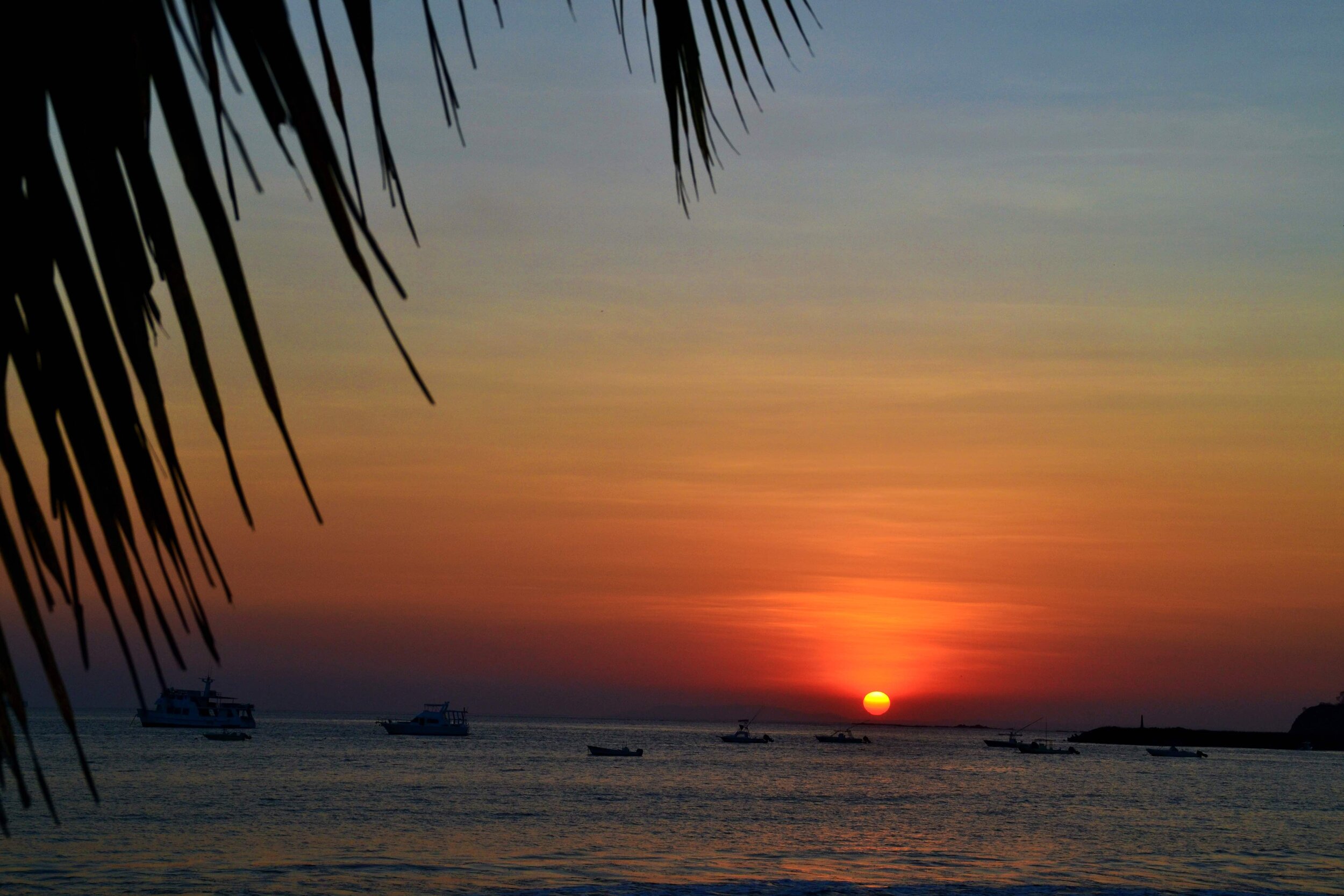 DSC_0960.jpeg