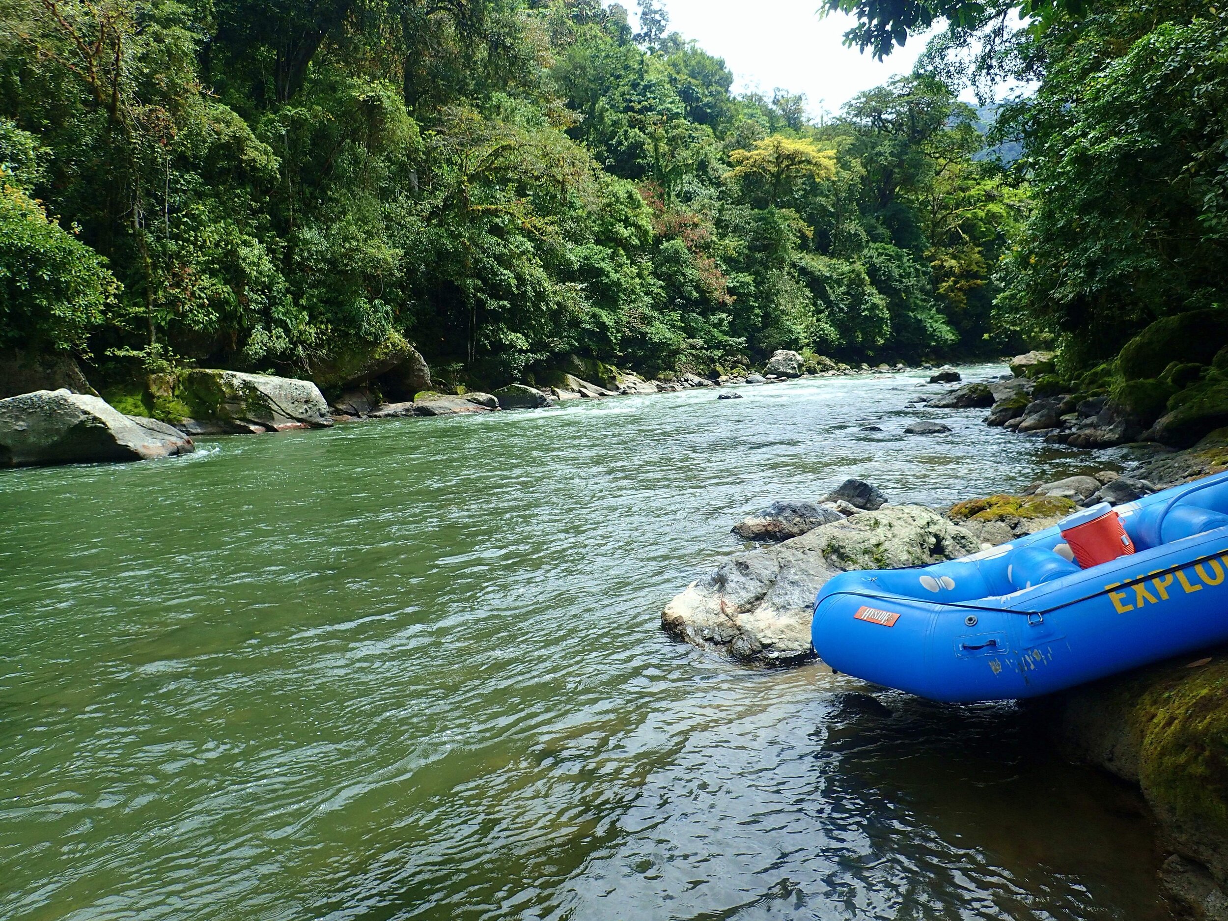 P2274810.jpeg