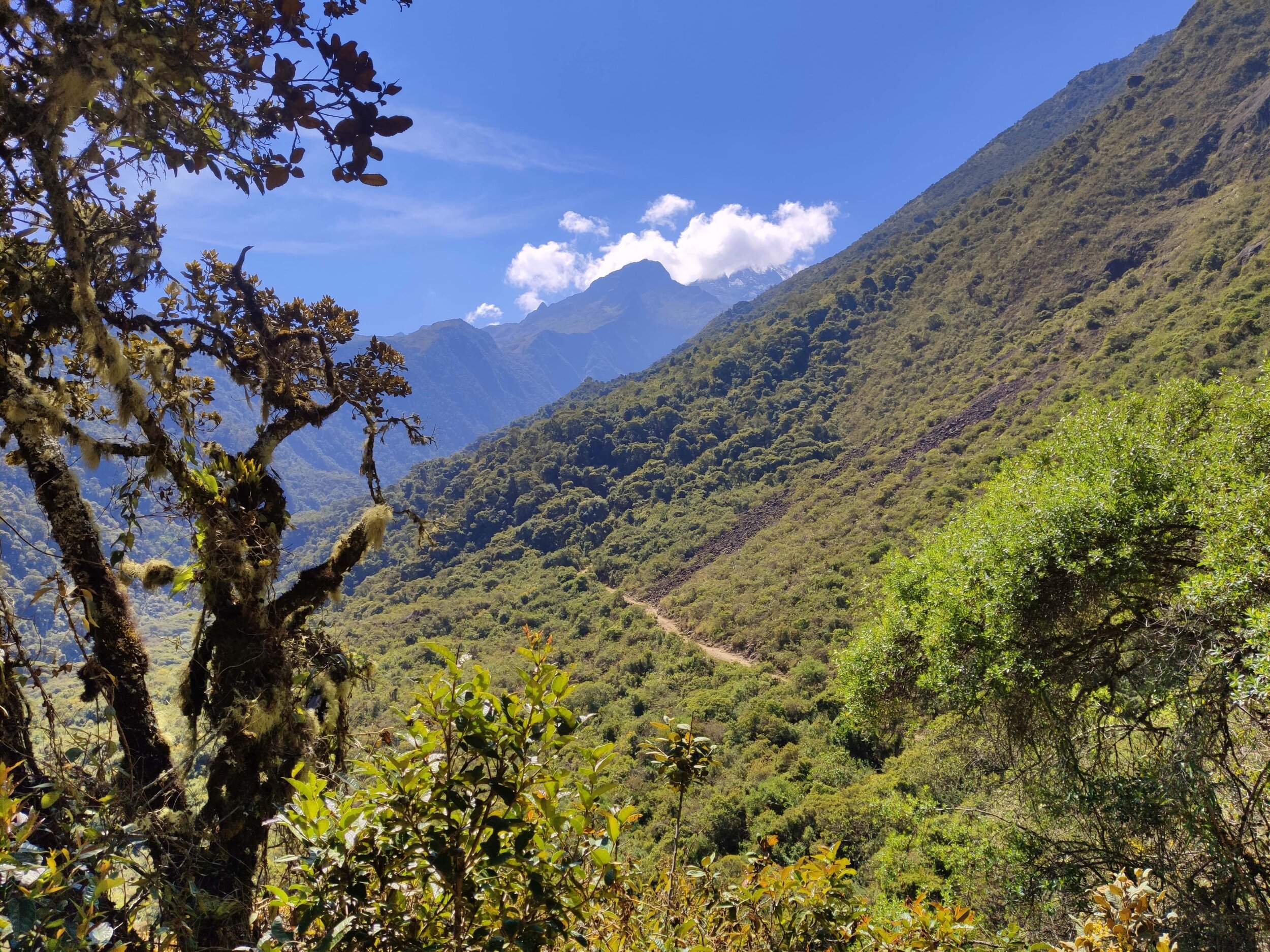 IMG_20190812_103216.jpeg