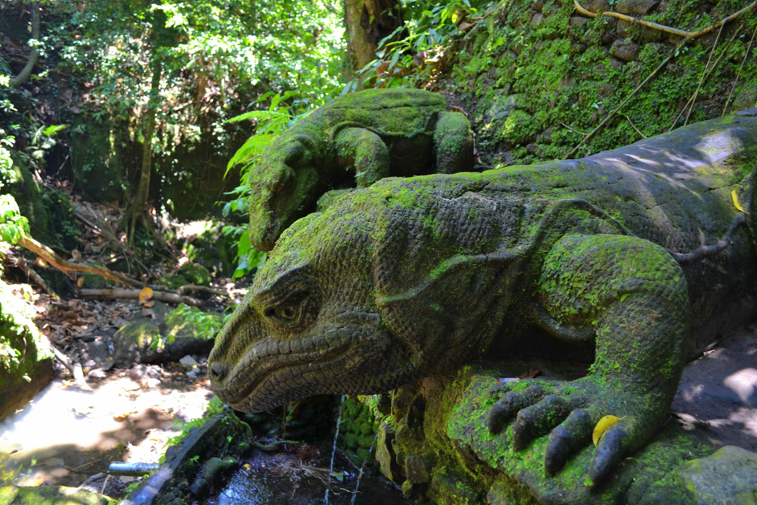 DSC_0372 (2).jpeg