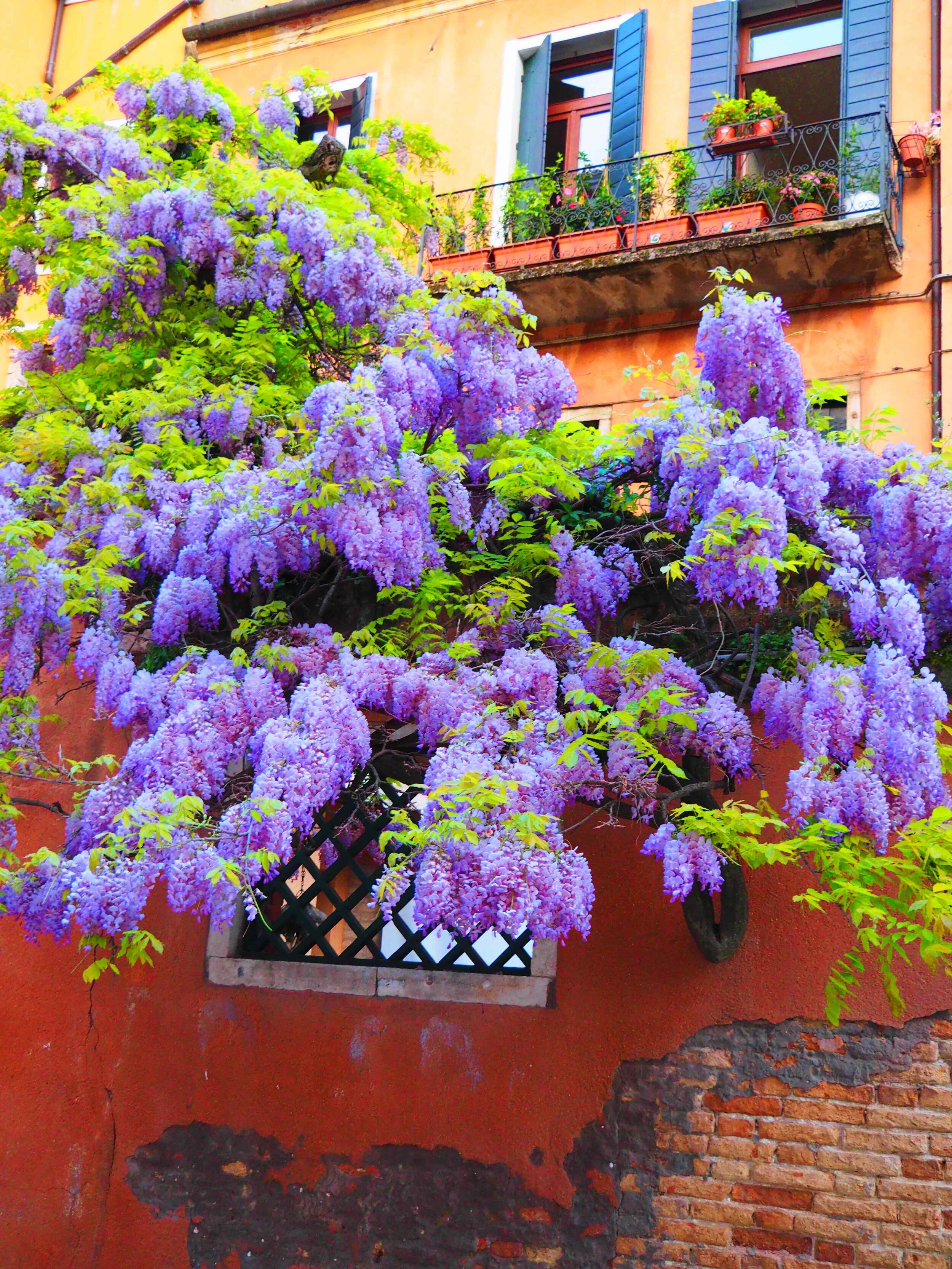 P4230200.jpeg