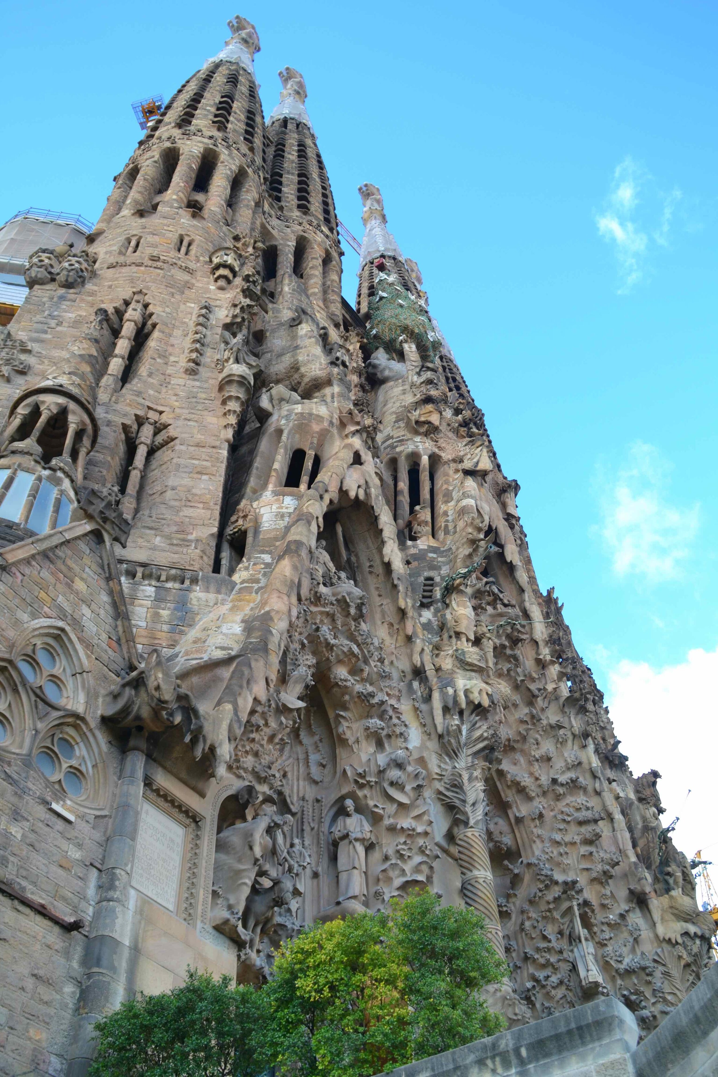 DSC_0222.jpeg