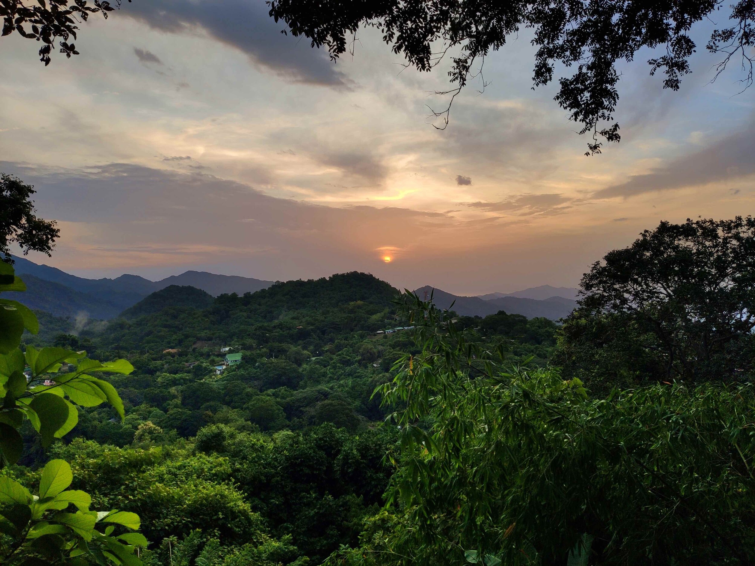 IMG_20190724_181538.jpeg