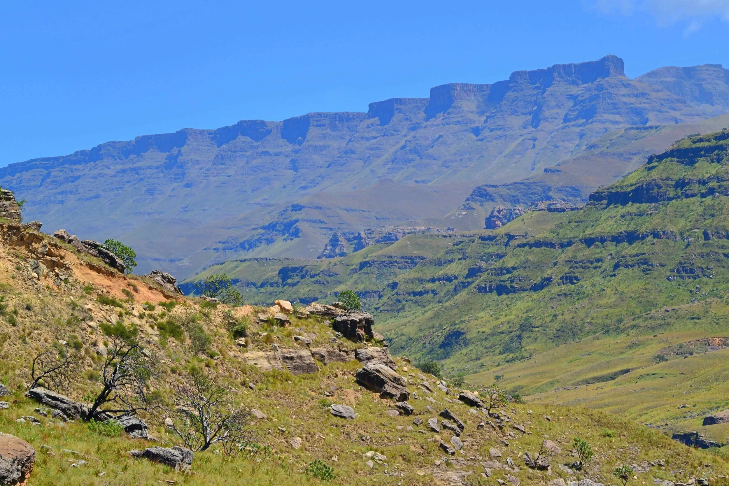 DSC_0446 13.42.26.jpeg