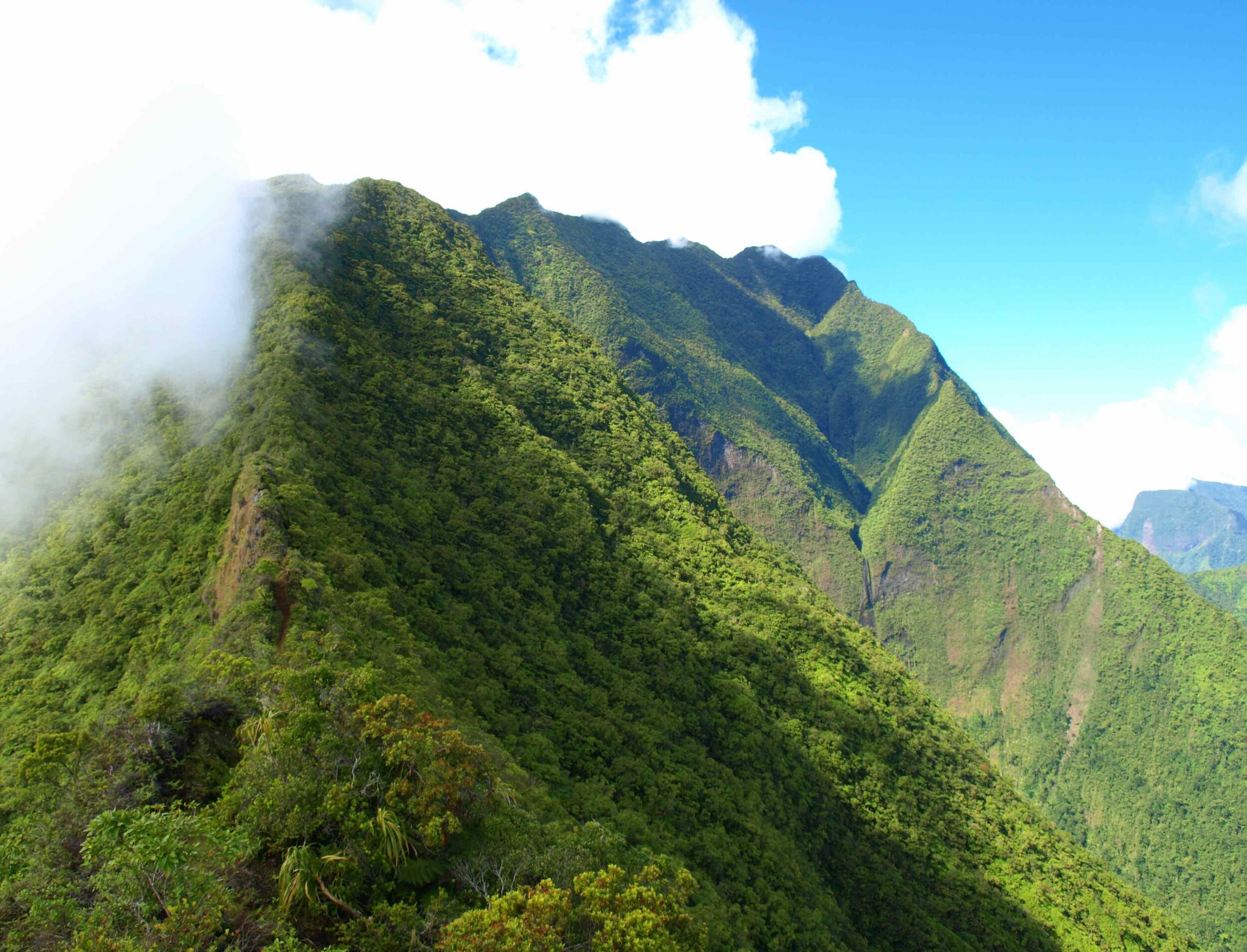 montagne-randonnee-polynesie.jpeg