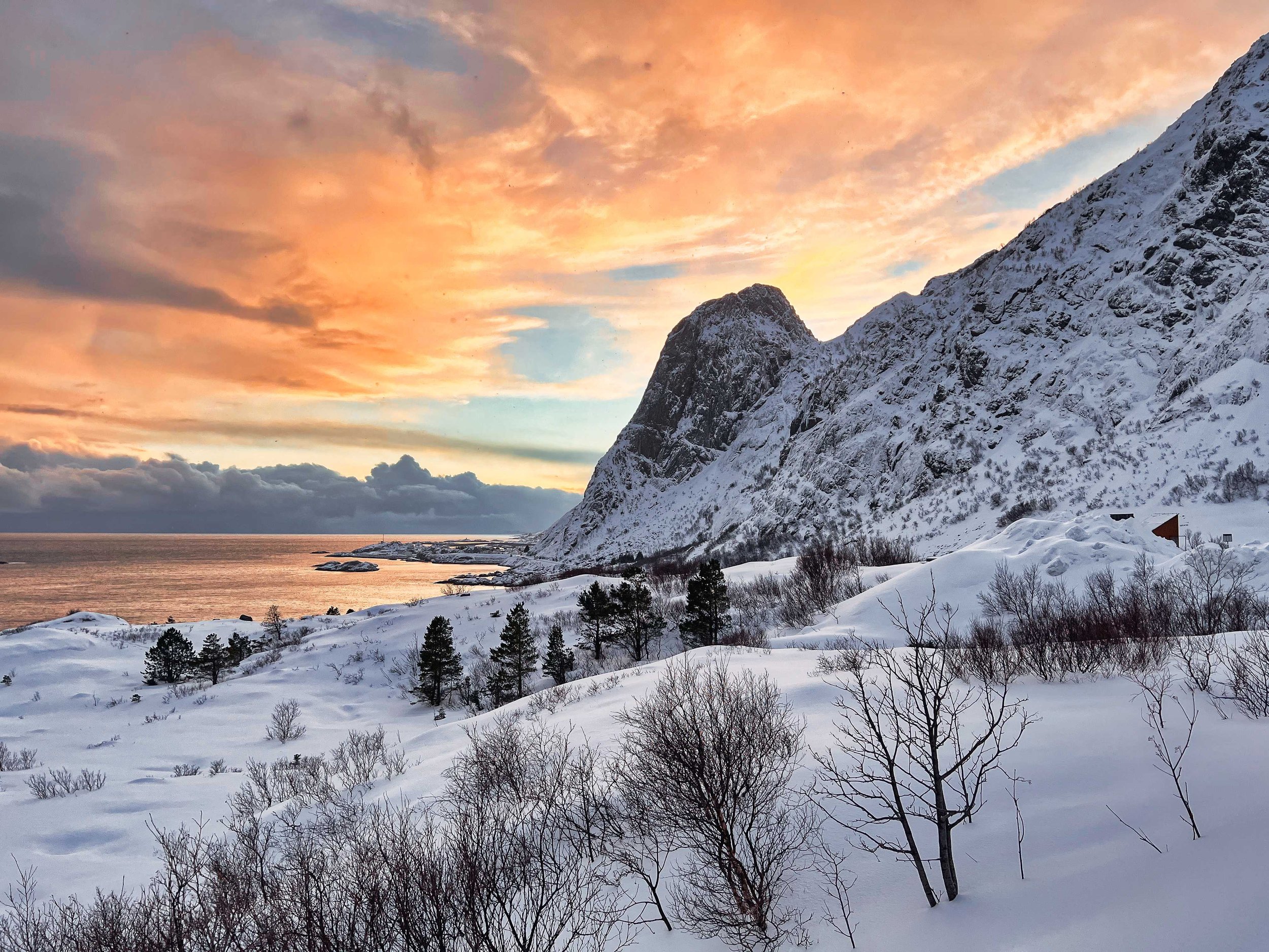 NorveĢge-Lofoten-hiver.jpeg