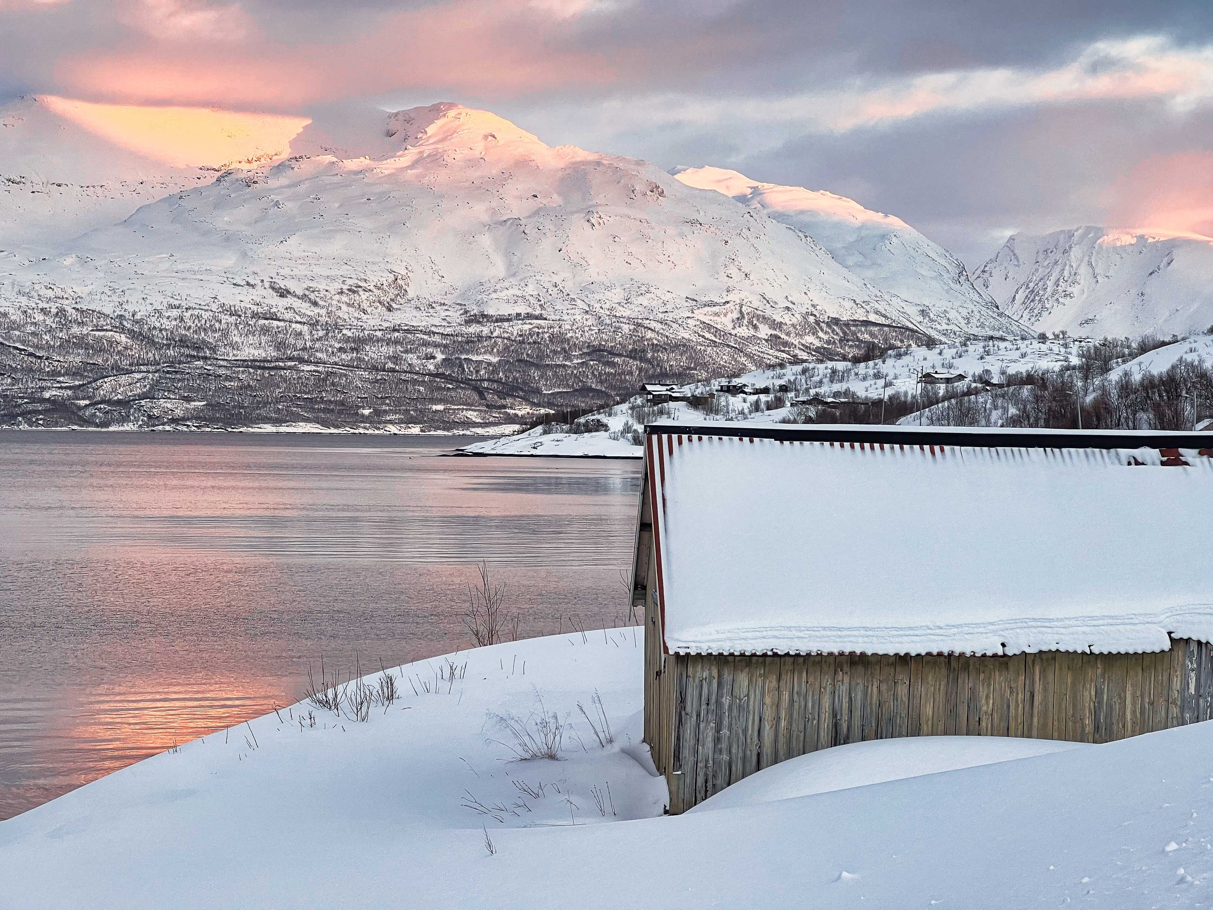 NorveĢge-Lygen.jpeg
