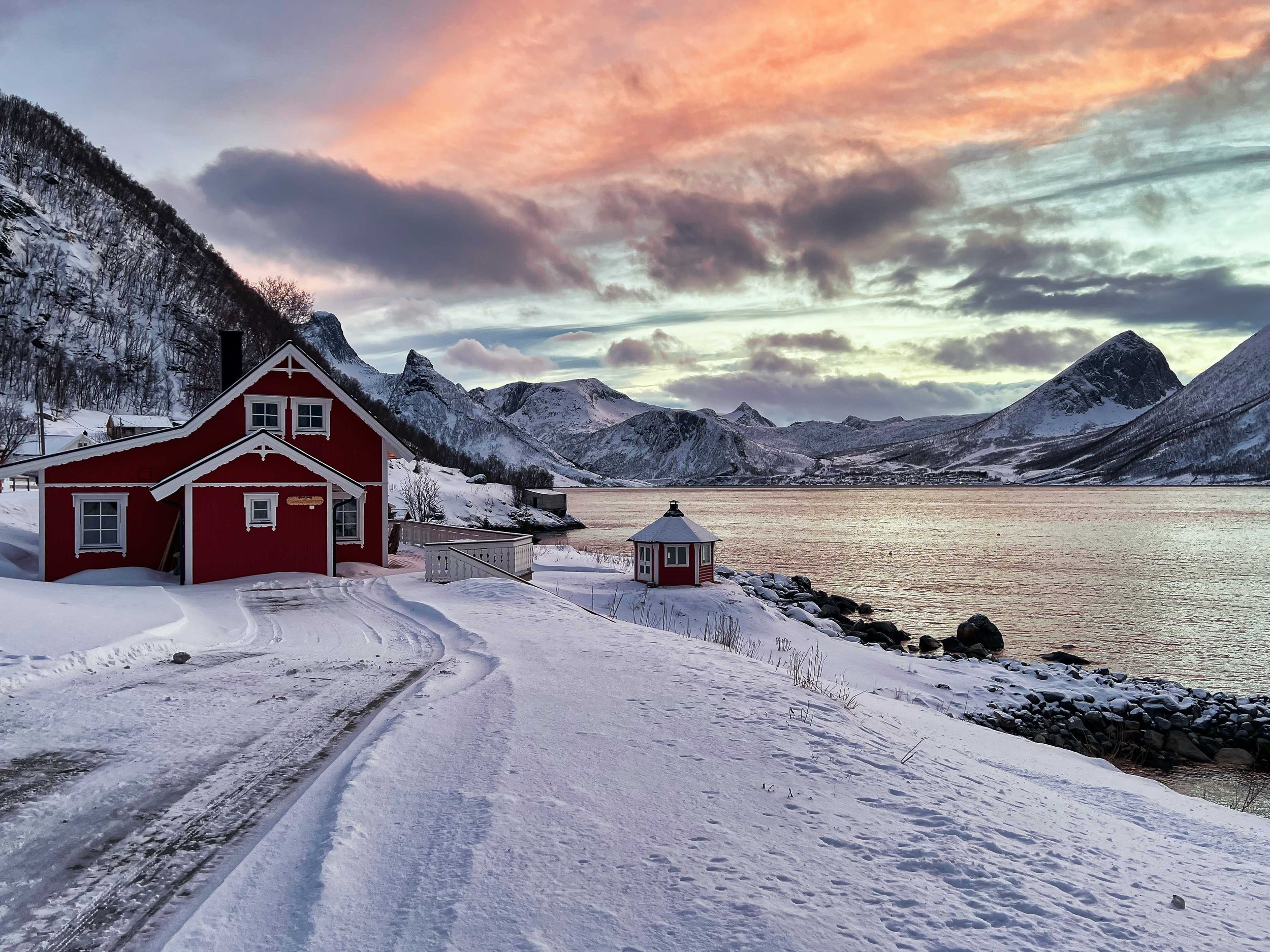 NorveĢge-senja.jpeg