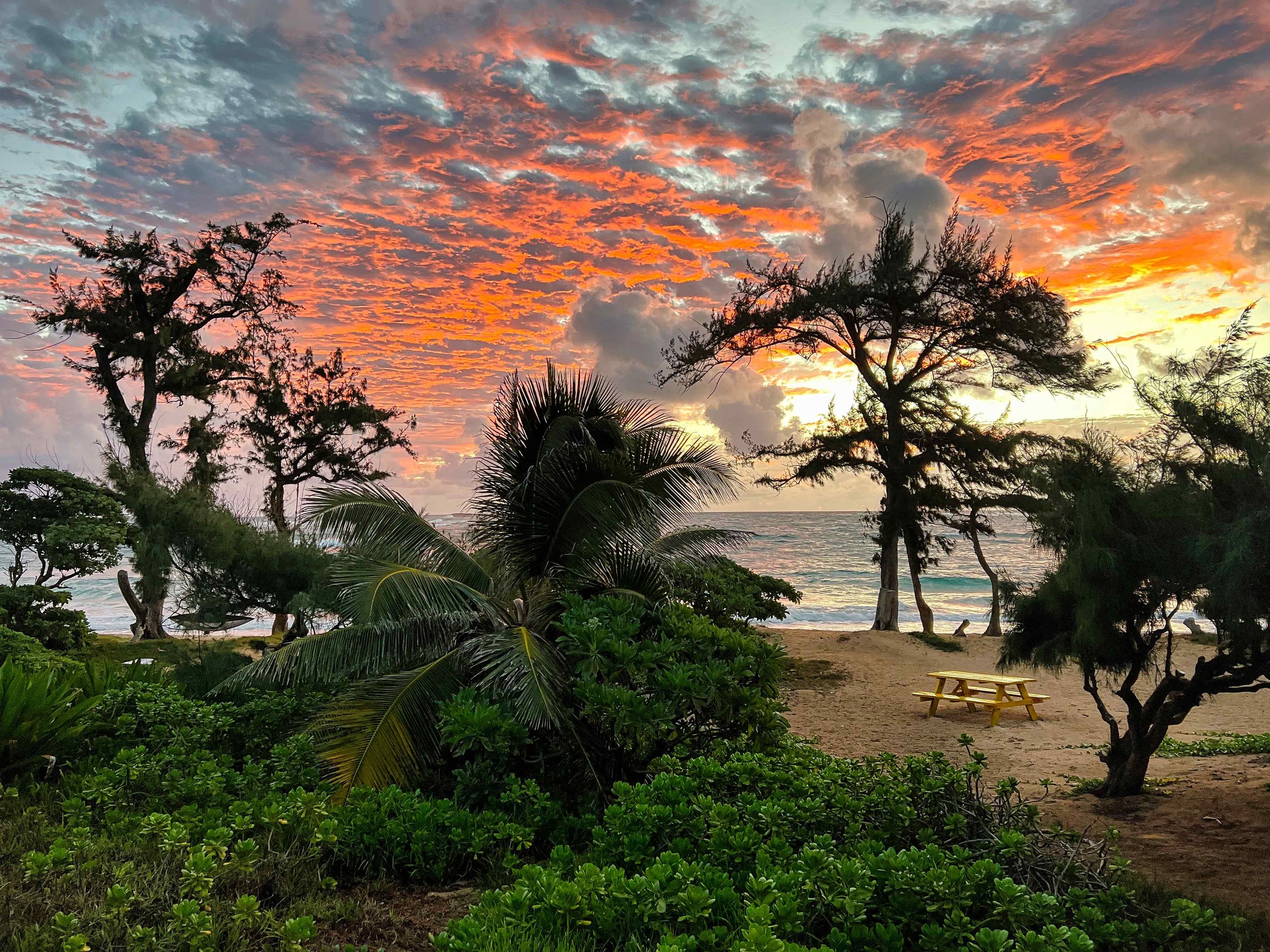 Hawaii-caéping-oahu.jpeg