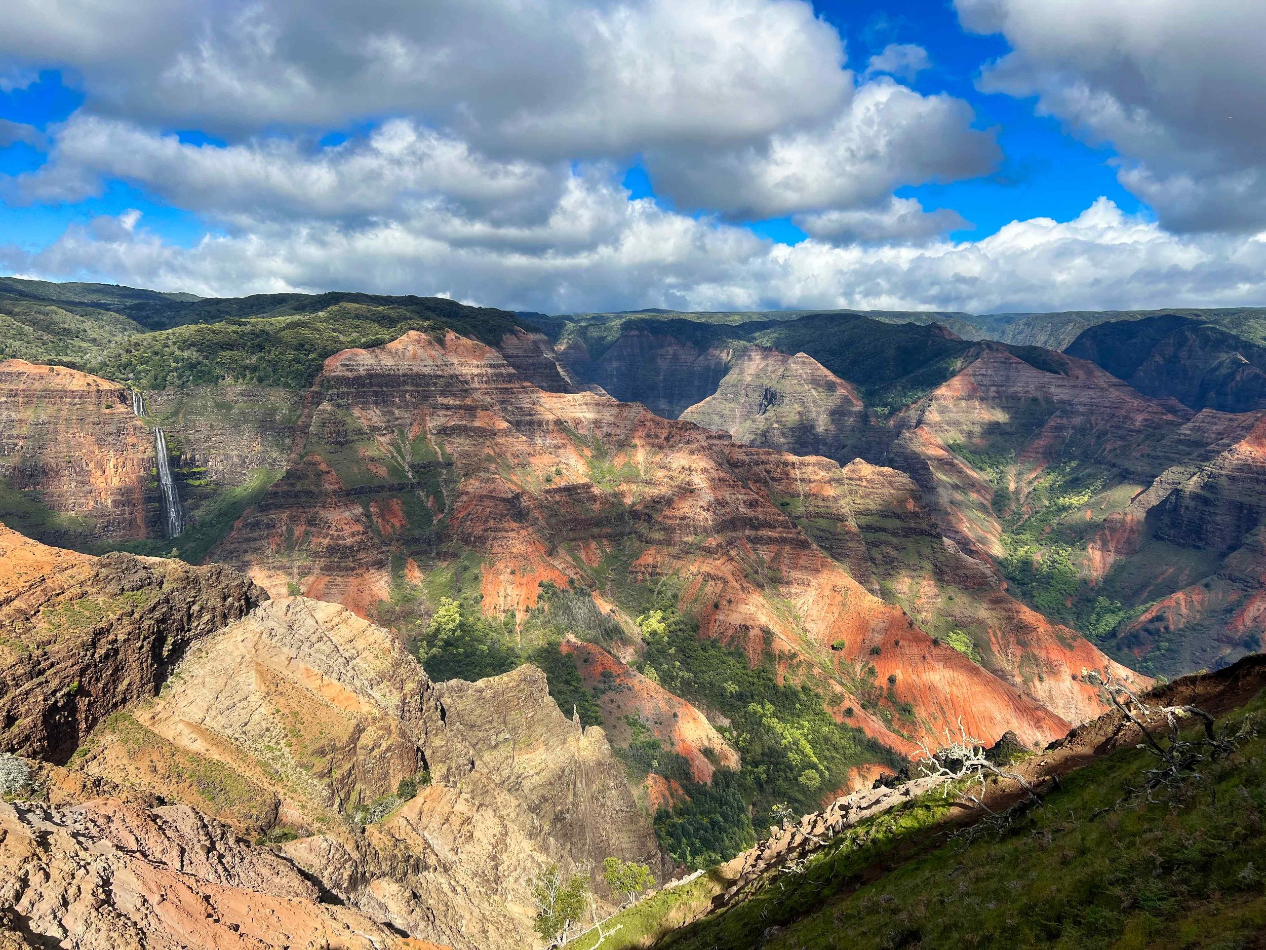 Hawaii-canyon-kauai.jpeg